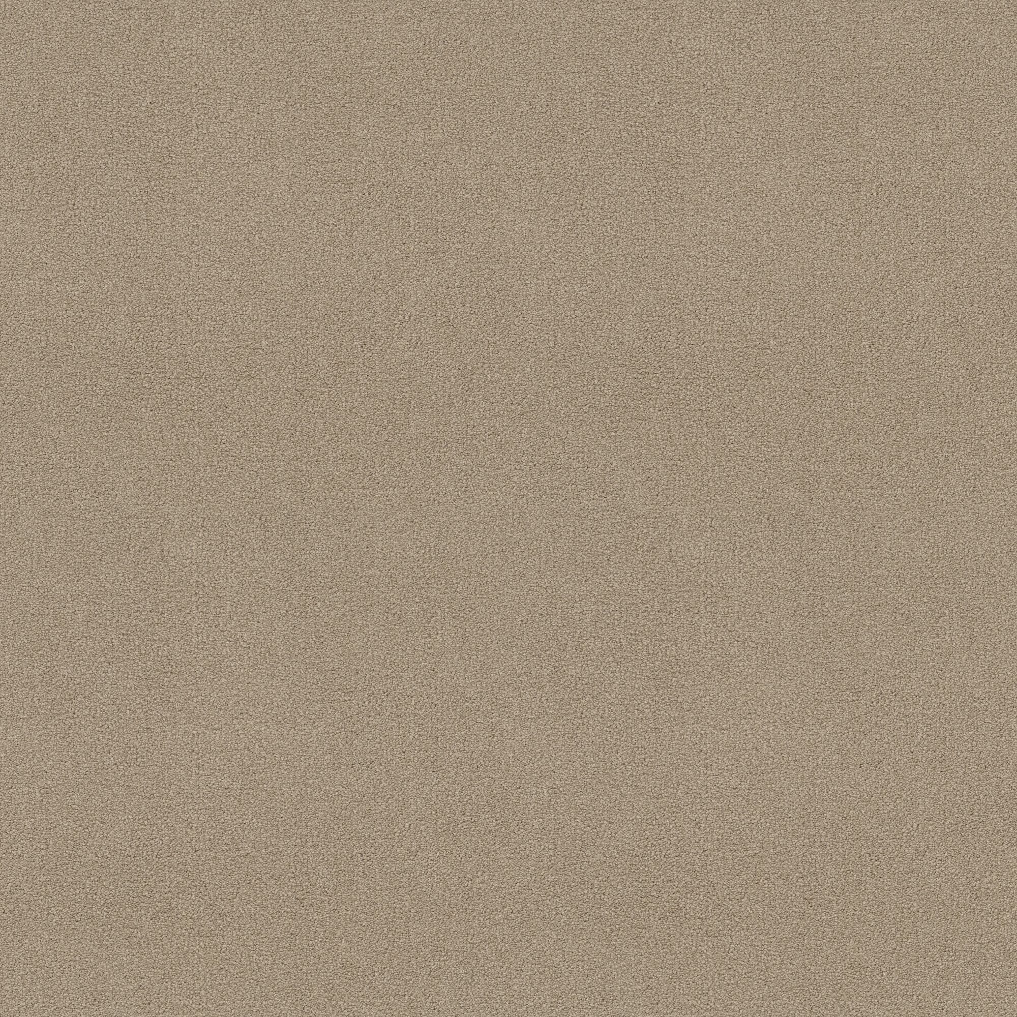 STAINMASTER PetProtect 7L882 - 105 - SAMP (Sample) Best of Breed II Courtyard Tan Brown 58.5-oz sq yard Nylon Textured Indoor Carpet