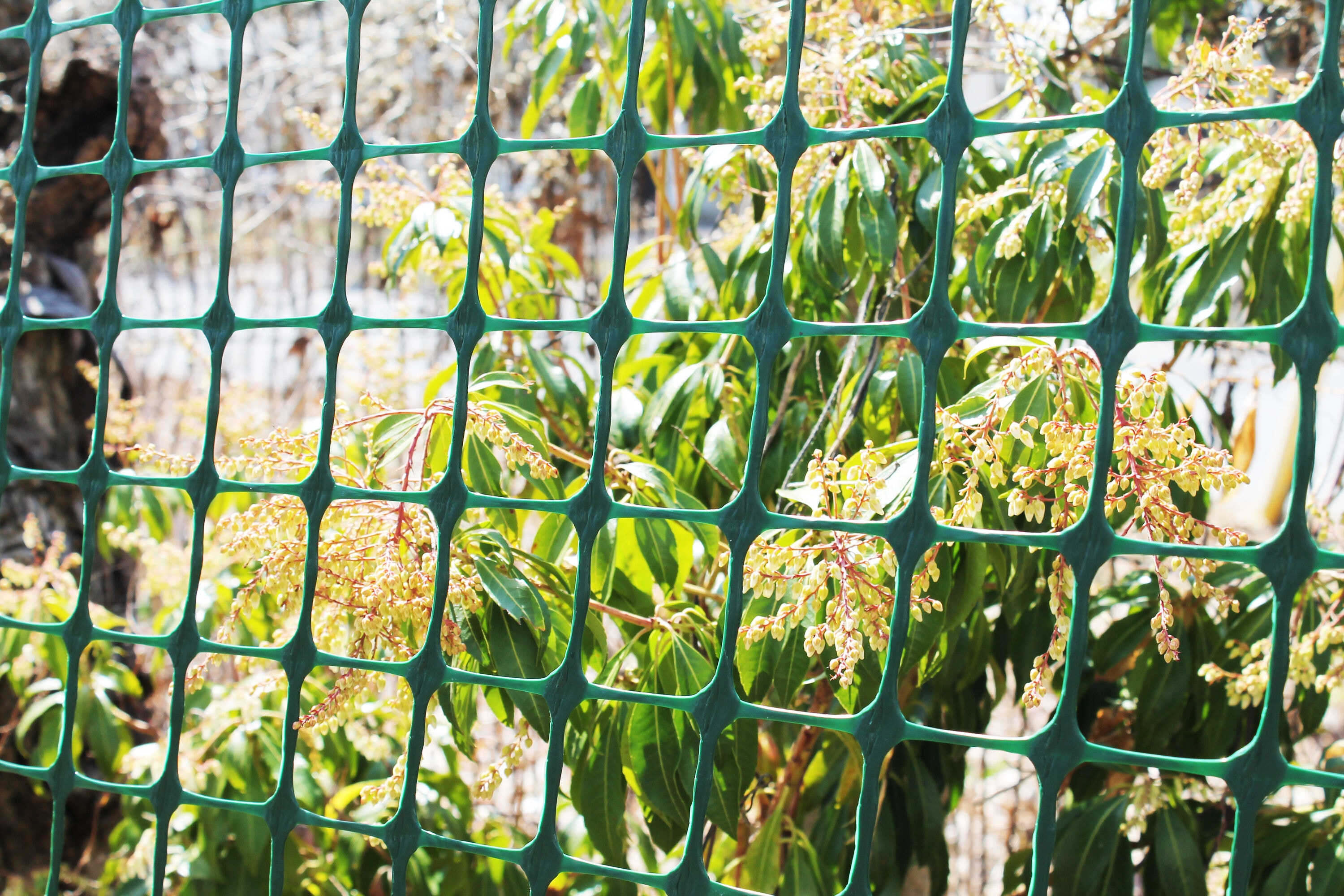 Tenax 783060 Rolled-Fence - View #5