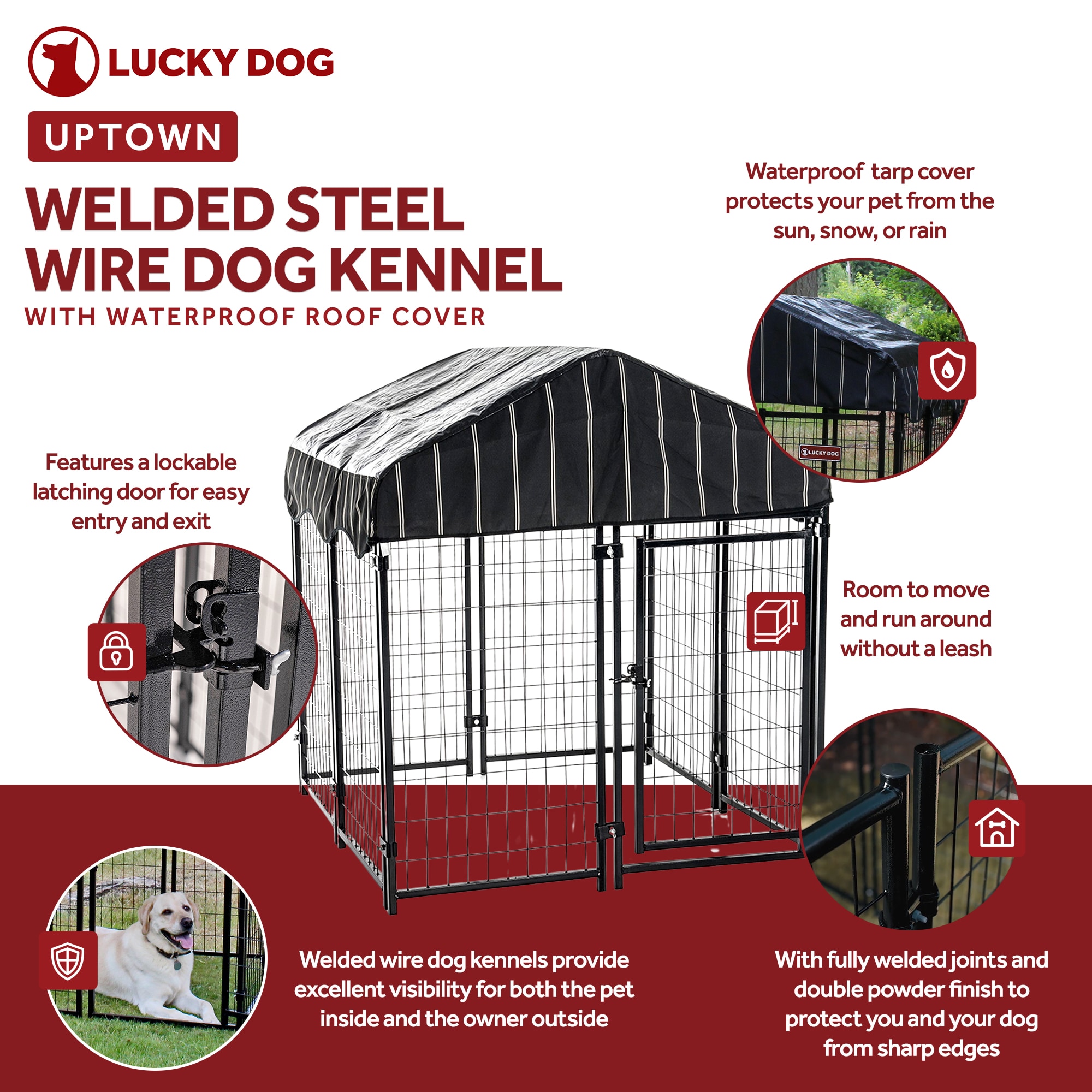 Lucky Dog Large 41 65 lb Wire Dog Kennel Outdoor 4 ft L x 4 ft W x 4.5 ft H