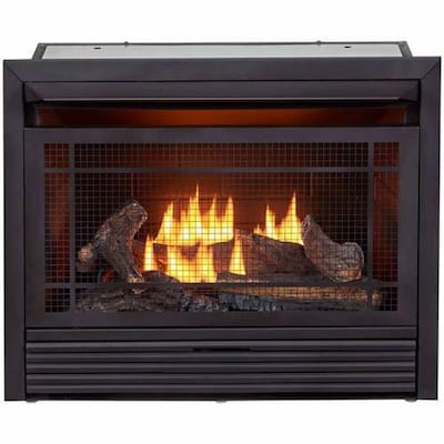 Dual Gas Fireplace Insert, What Is The Best Propane Fireplace Insert