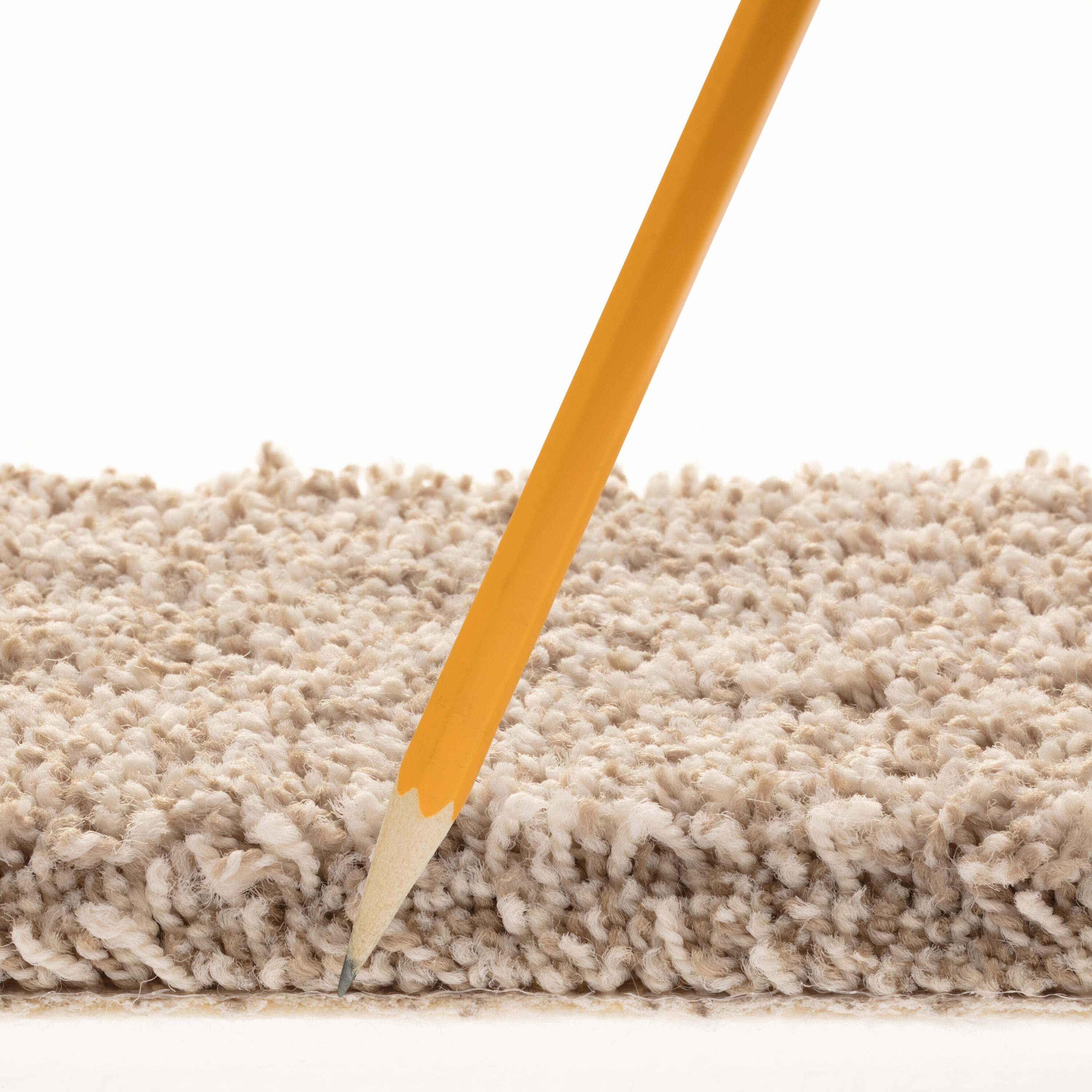 STAINMASTER PetProtect 7L85900172 Carpet-Panel - View #7