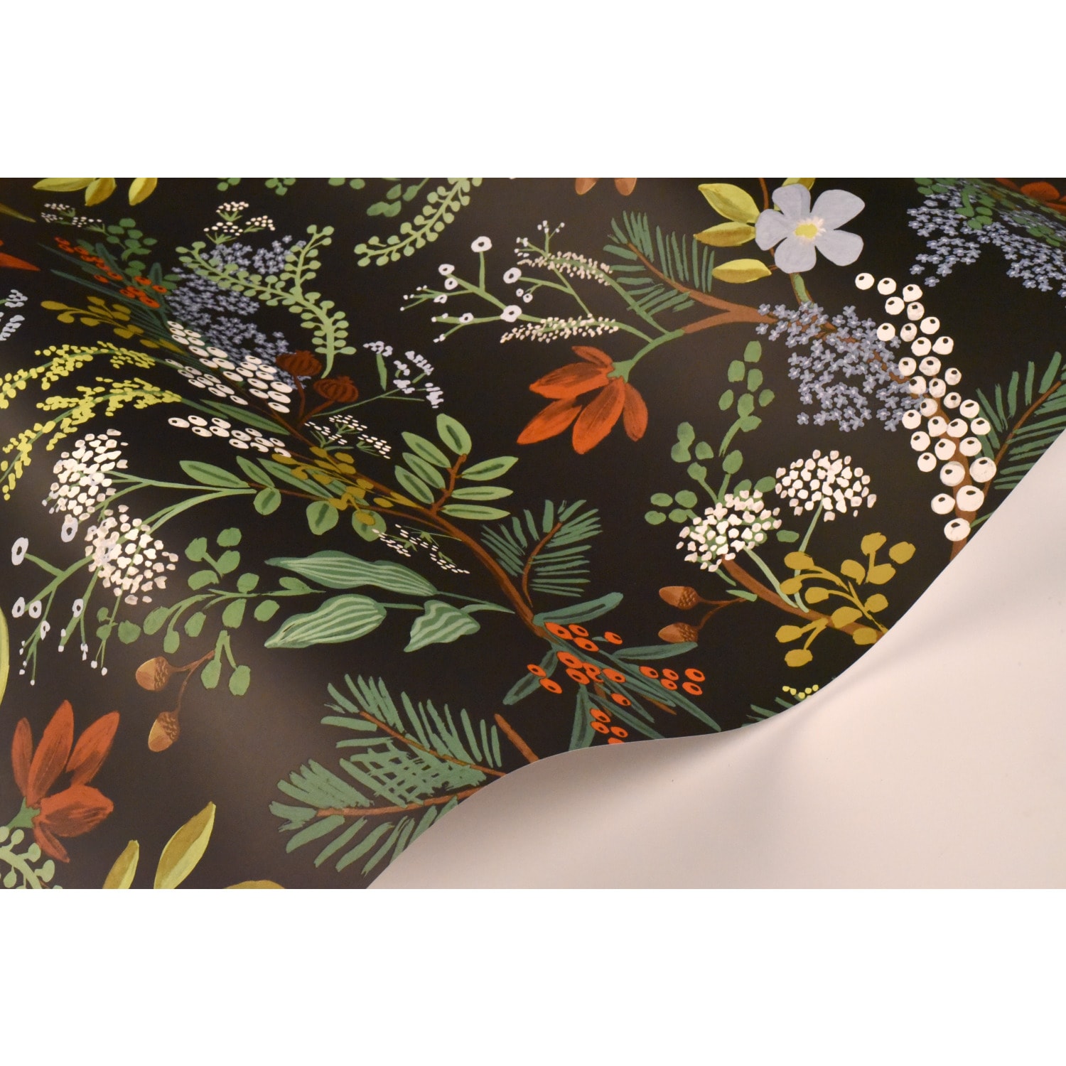 Rifle Paper Co. Black Floral Wrapping Paper Roll 8ft