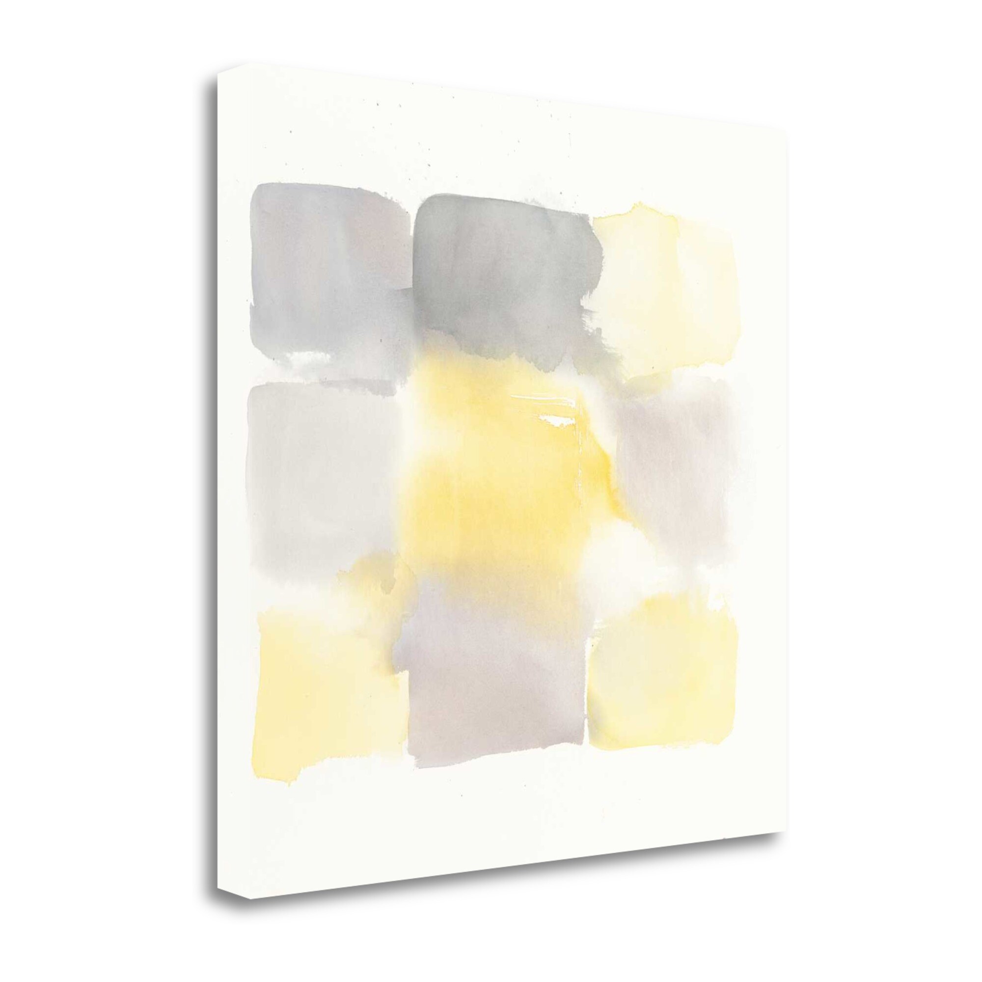 Tangletown Fine Art WA620722-2020C Two Tone I Mike Schick 20-in H x 20-in W Abstract Print on Canvas