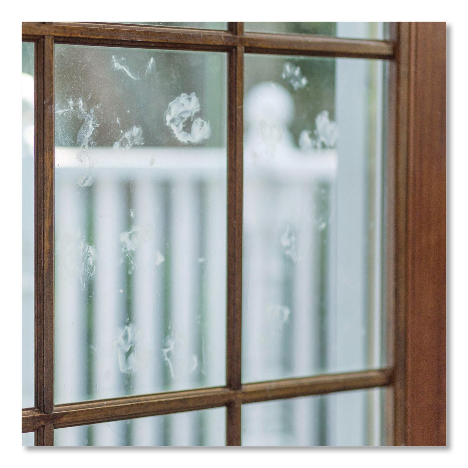 Rust-Oleum ESNRST352245 Glass-Cleaners - View #3