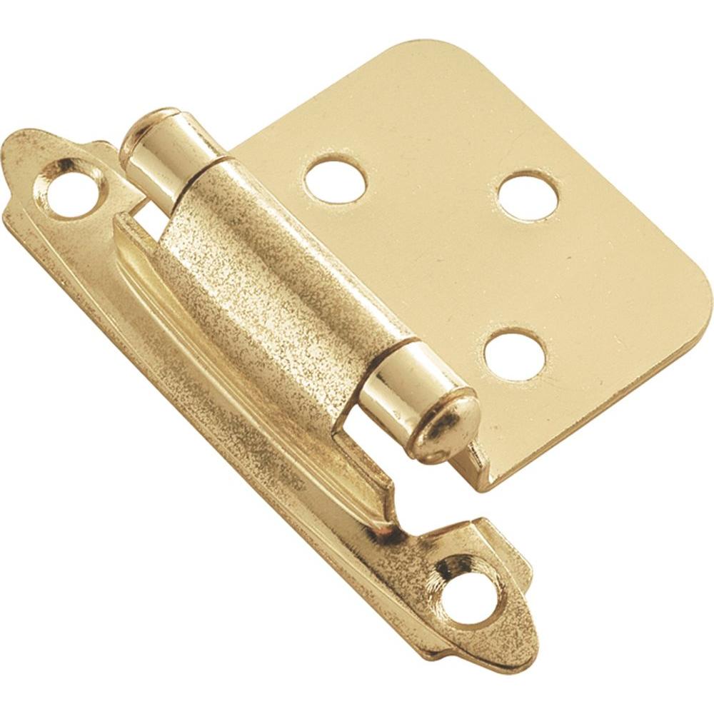 Polished Brass Surface Self-Closing Hinge (2-Pack) Polished Brass Surface Self-Closing Hinge (2-Pack)