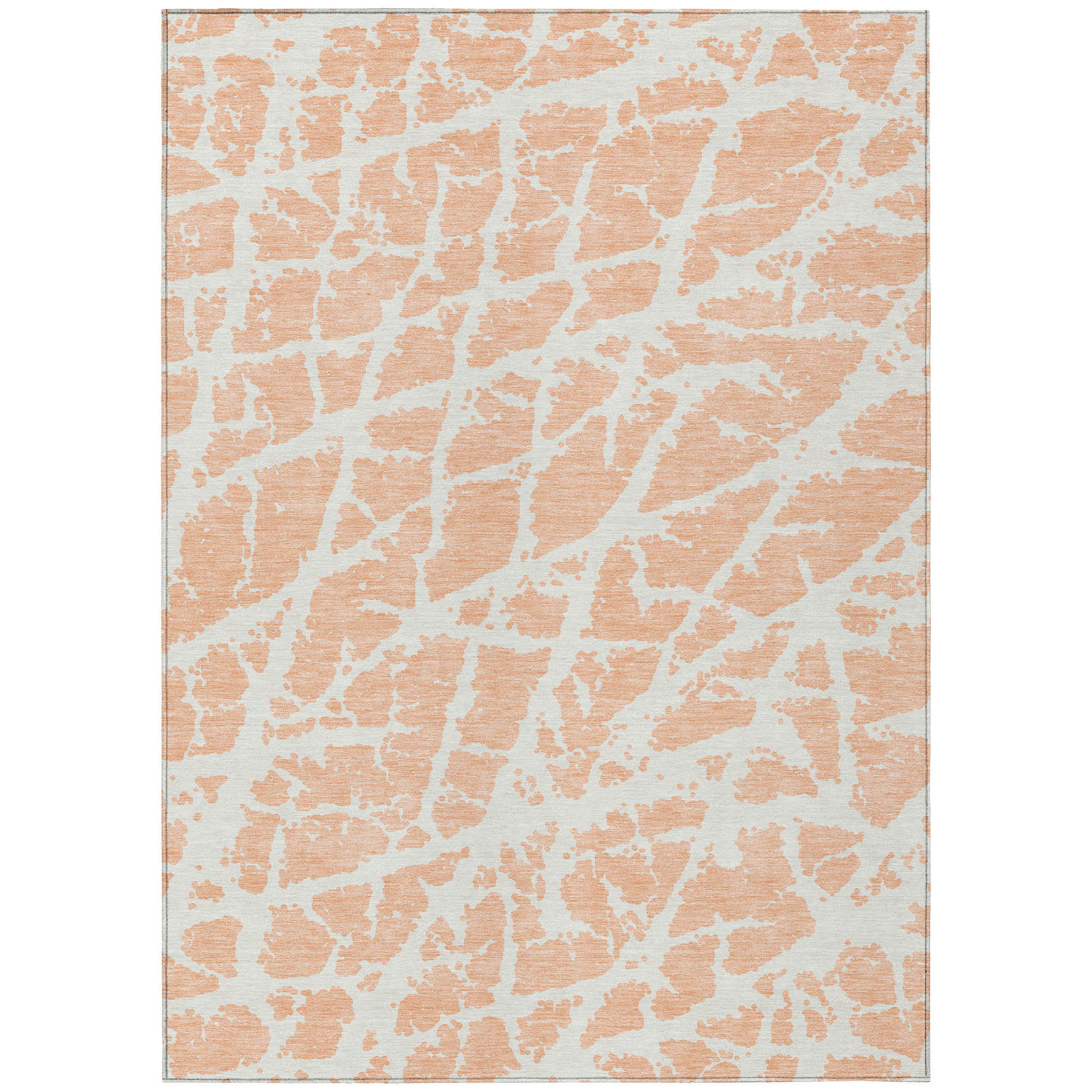 Addison Rugs ACN501PH3X5 rugs - View #2