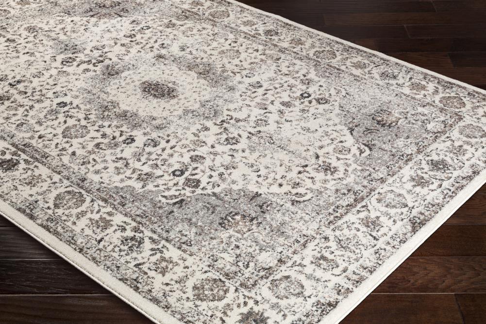 Surya CSA2305-710103 rugs - View #6