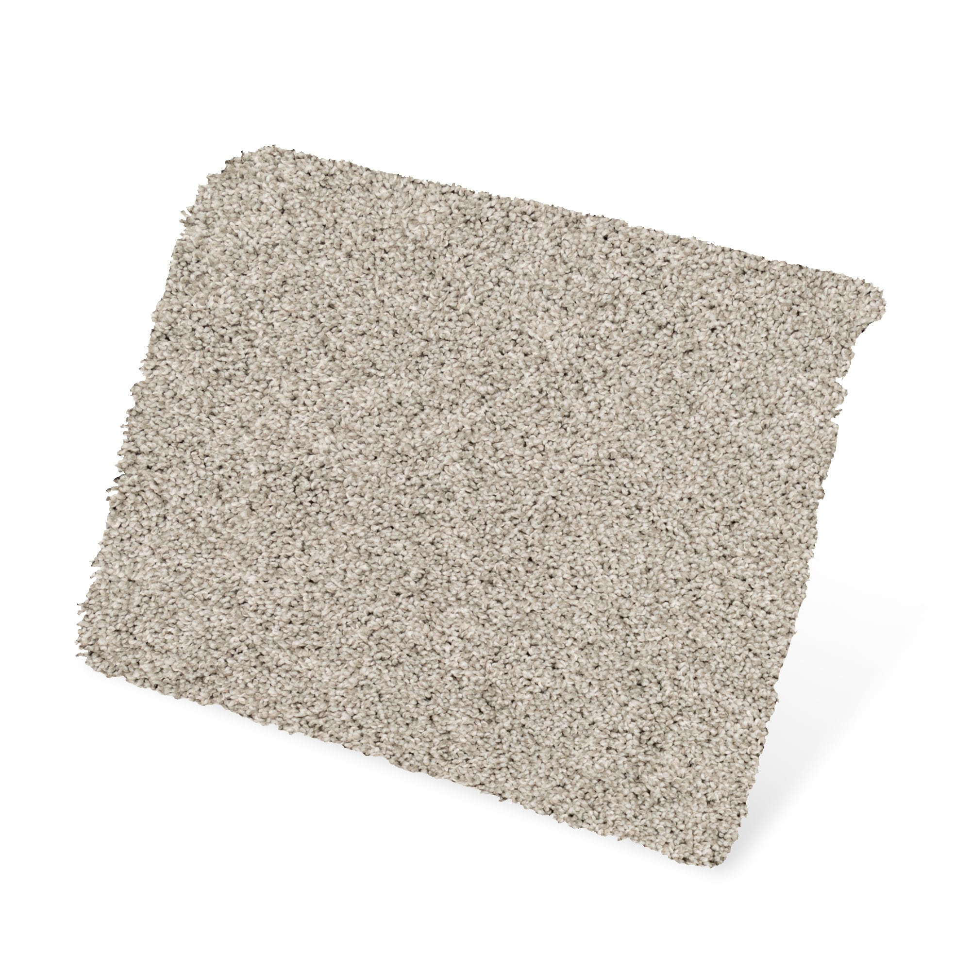 STAINMASTER PetProtect SS062-L004-S0808 Carpet-Samples - View #3