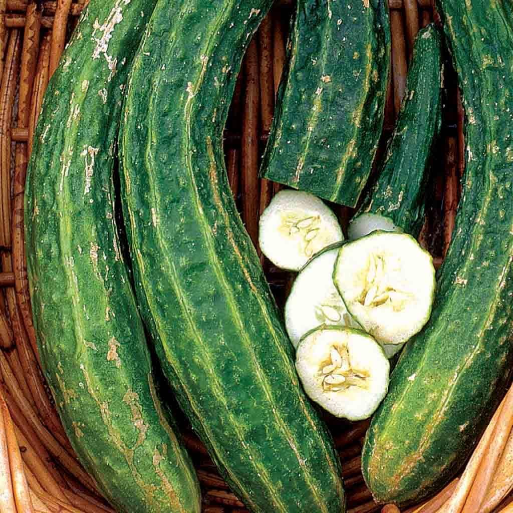 Ferry-Morse LC25.7271 Vegetable-Herb-Seeds - View #3