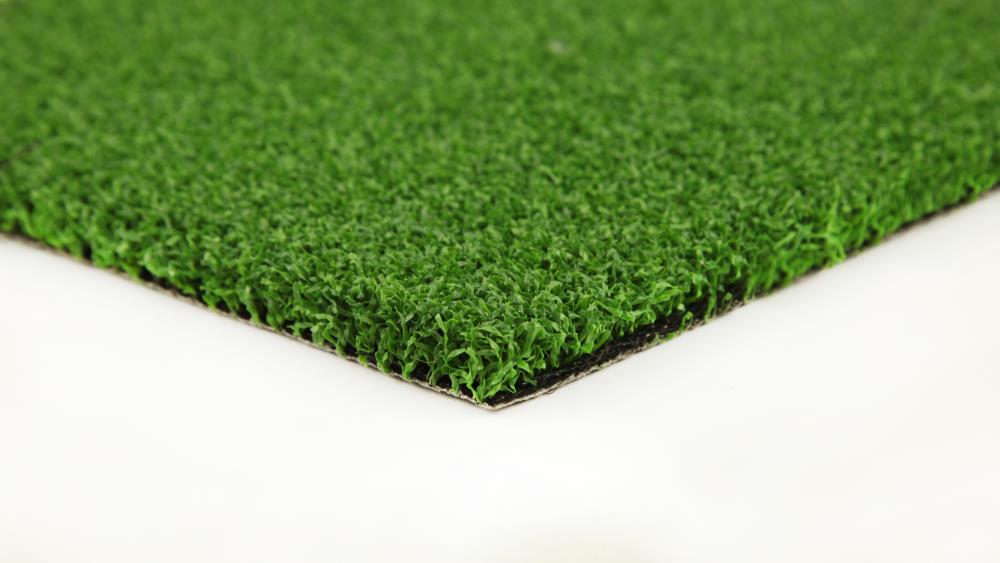 Everlast Putting green 15-ft Artificial Grass