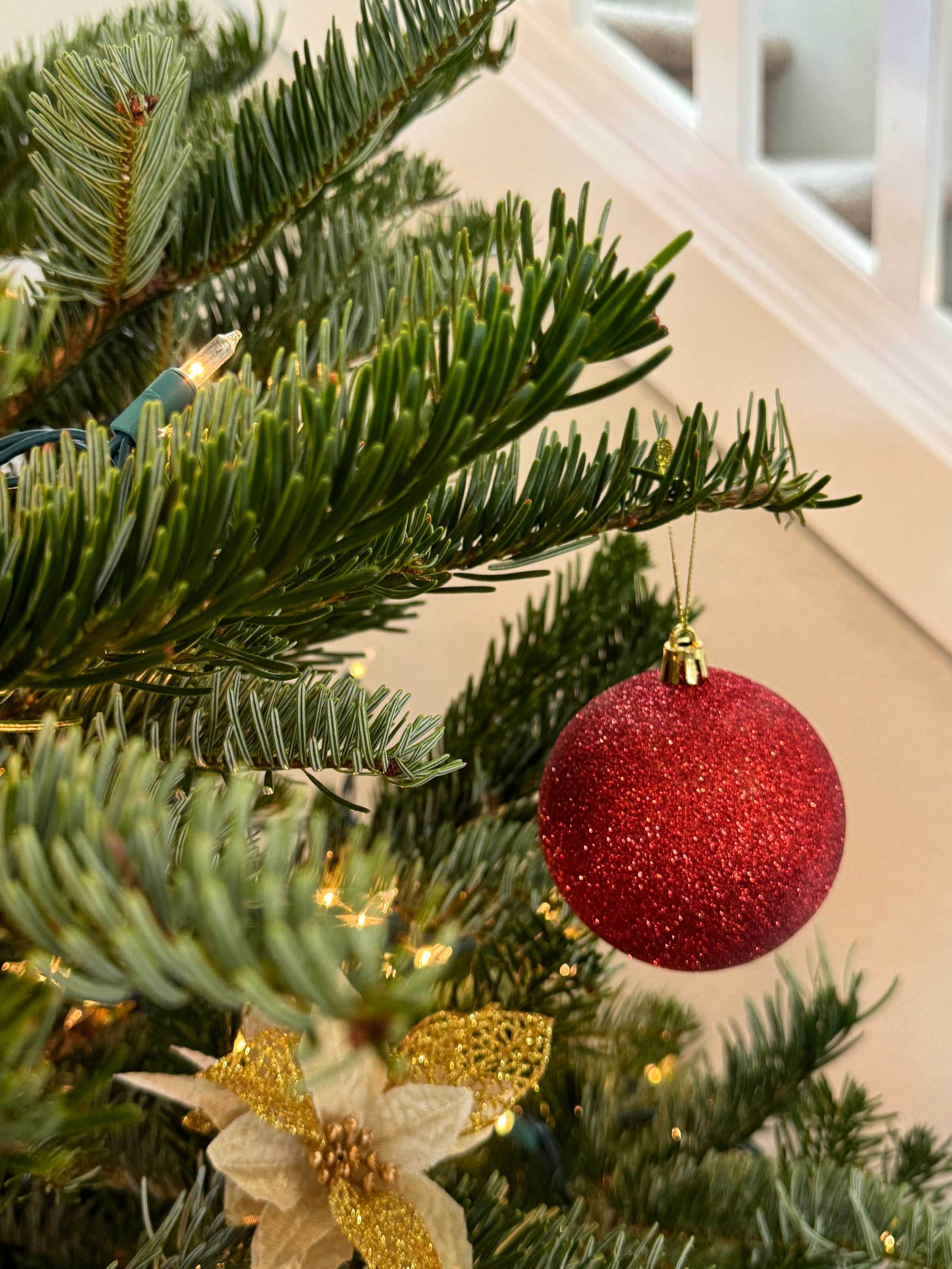  CHMF506 Fresh-Christmas-Trees - View #4