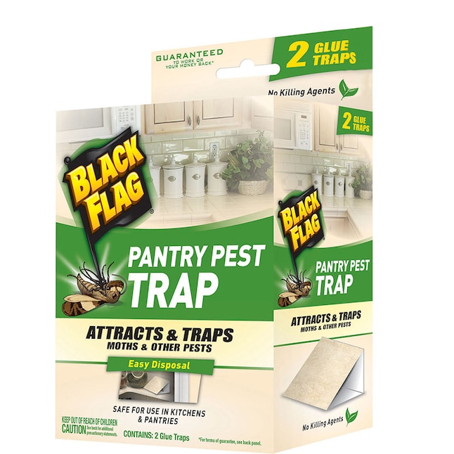 BLACK FLAG Pantry Pest Indoor Insect Trap (2-Pack) in the Insect Traps  department at