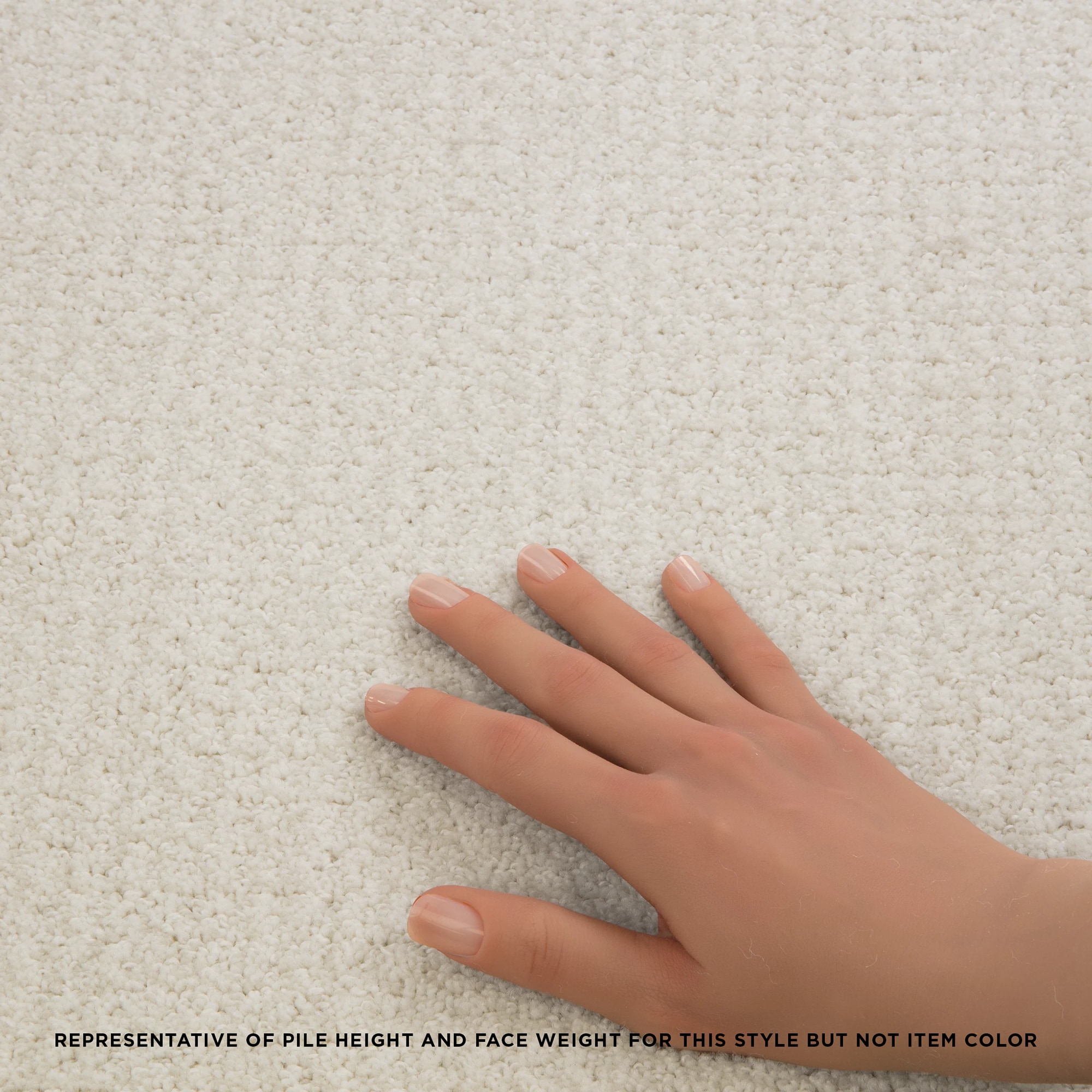 STAINMASTER PetProtect 7L85000128 Carpet-Panel - View #5