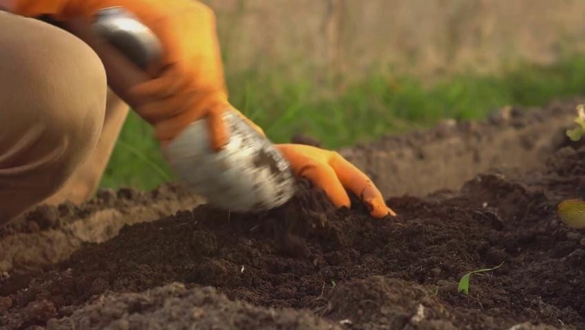A thumbnail for the video