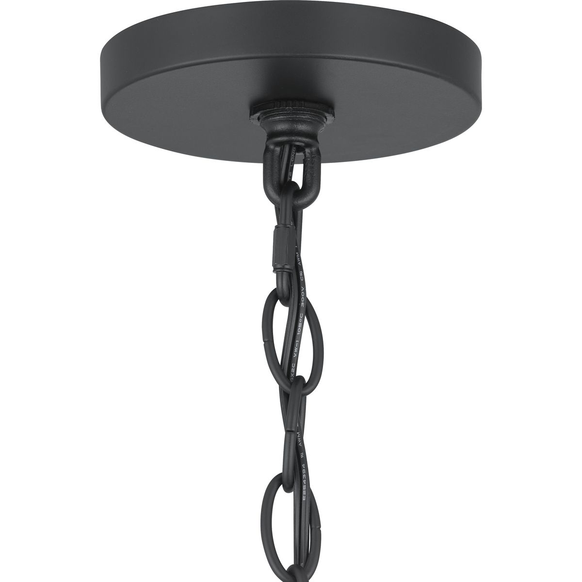 Progress Lighting P500424-31M Pendant-Lights - View #8
