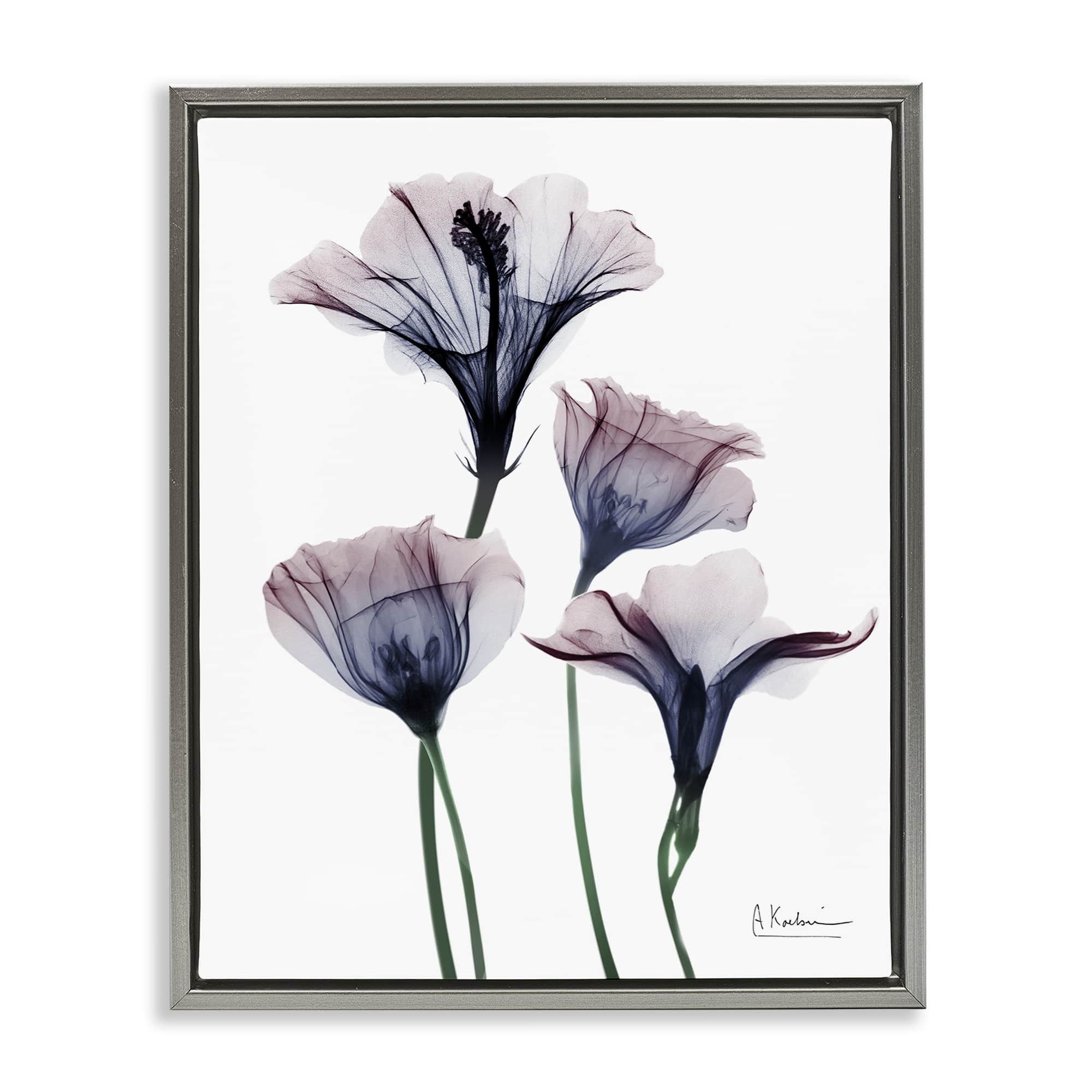 Stupell Industries BS-012-FFL-24X30 Bountiful Dusk Flowers Gray Framed Floater Canvas Wall Art By Albert Koetsier 25 x 31