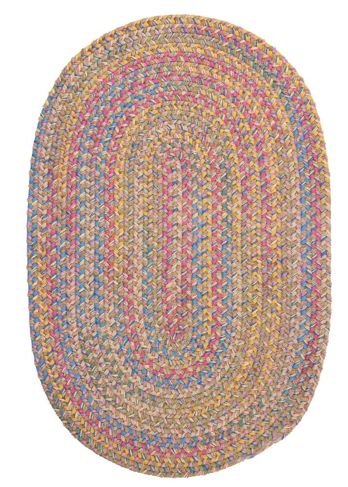 Ombre Chenille Braided Rug