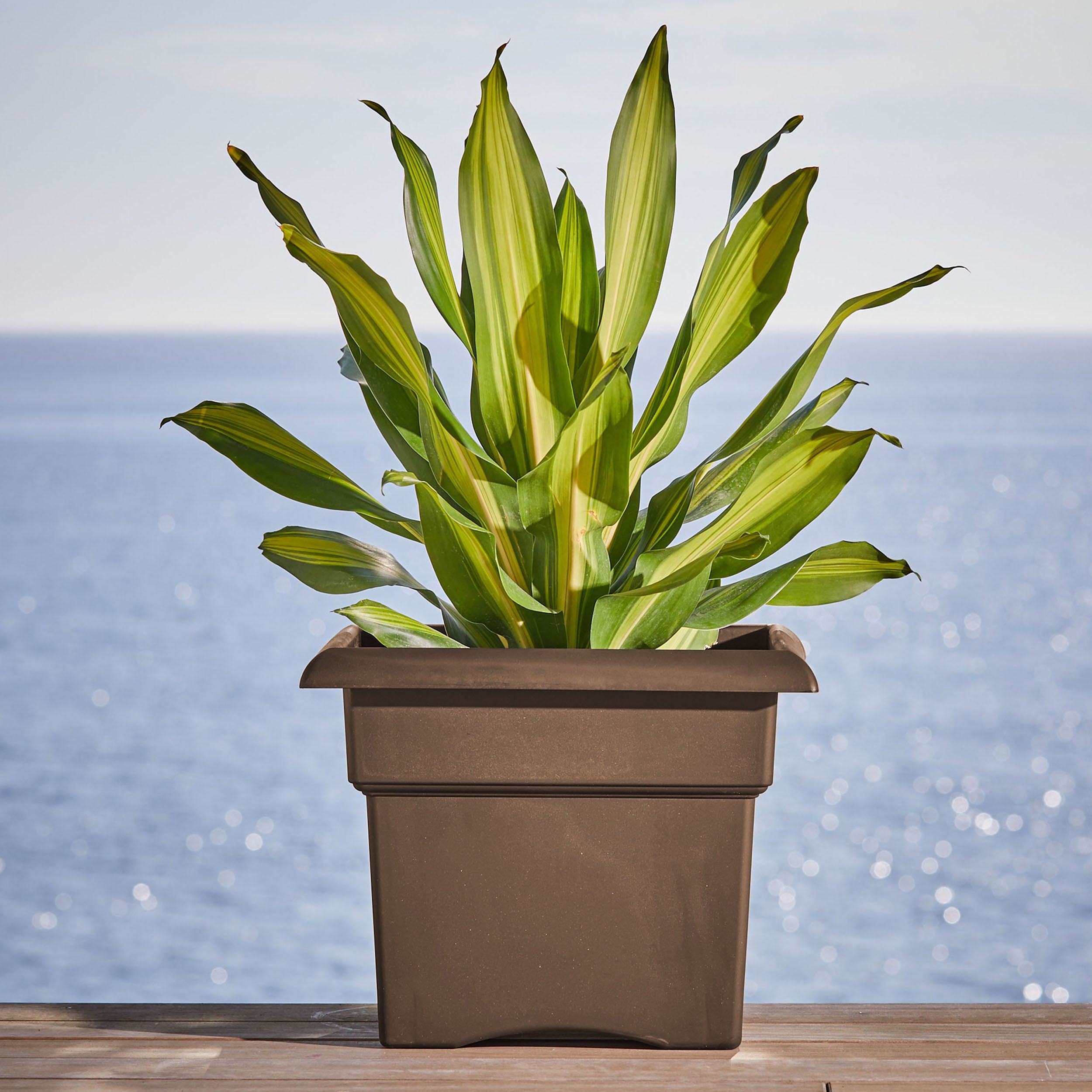 Bloem 457185-1001 Planter-Window-Box - View #3