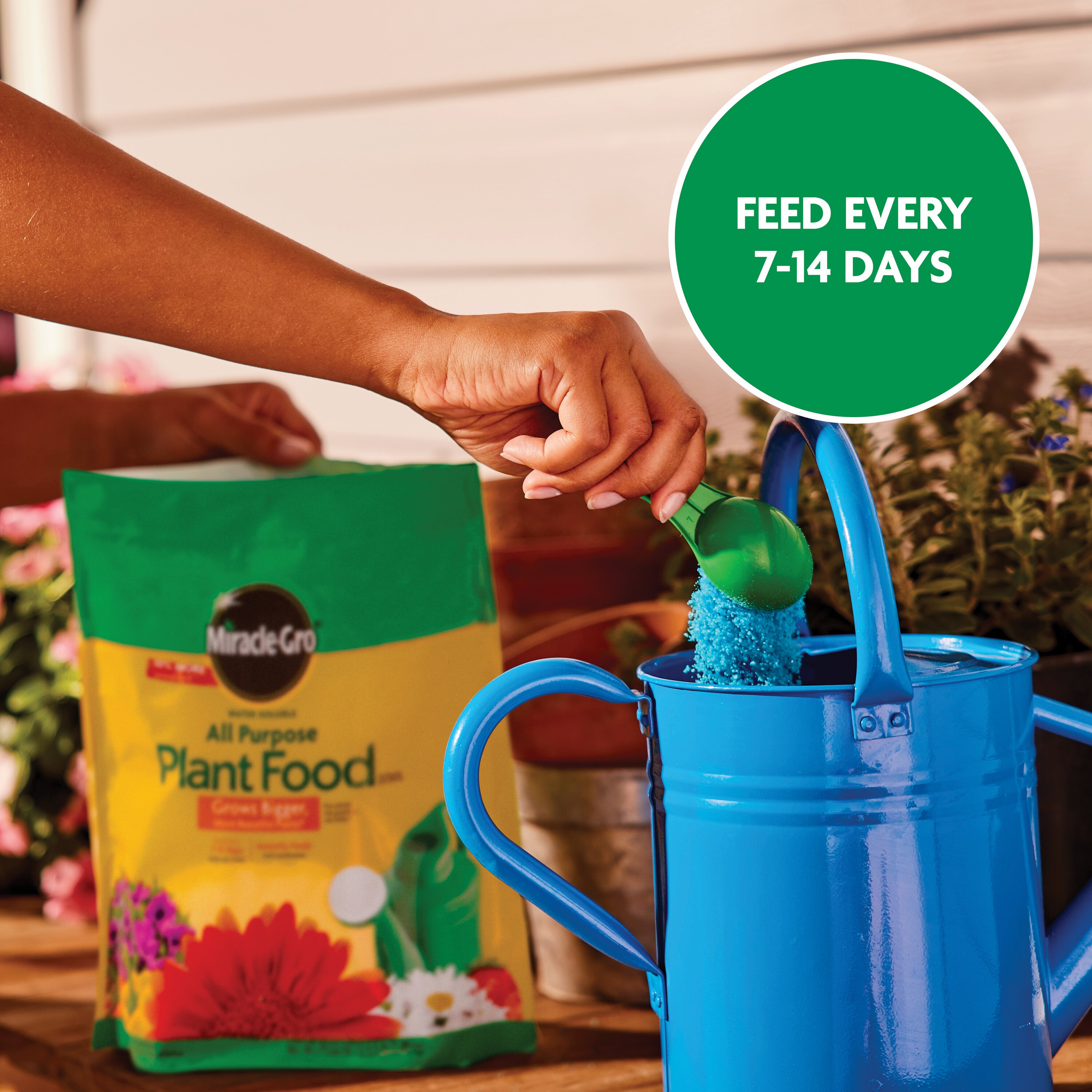 Miracle-Gro 1013328 Plant-Food - View #9