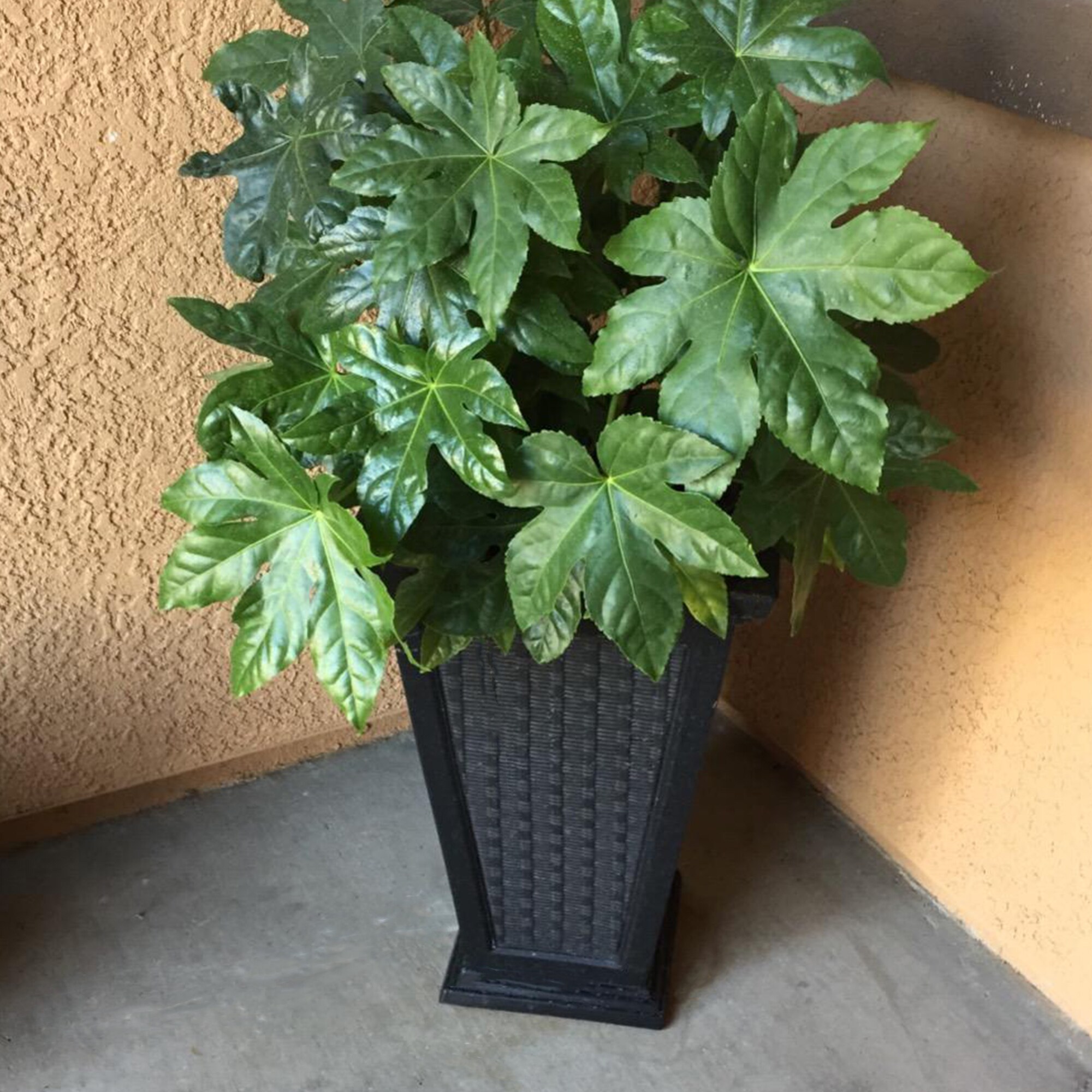 FCMP Outdoor 187097 Planter-Window-Box - View #9