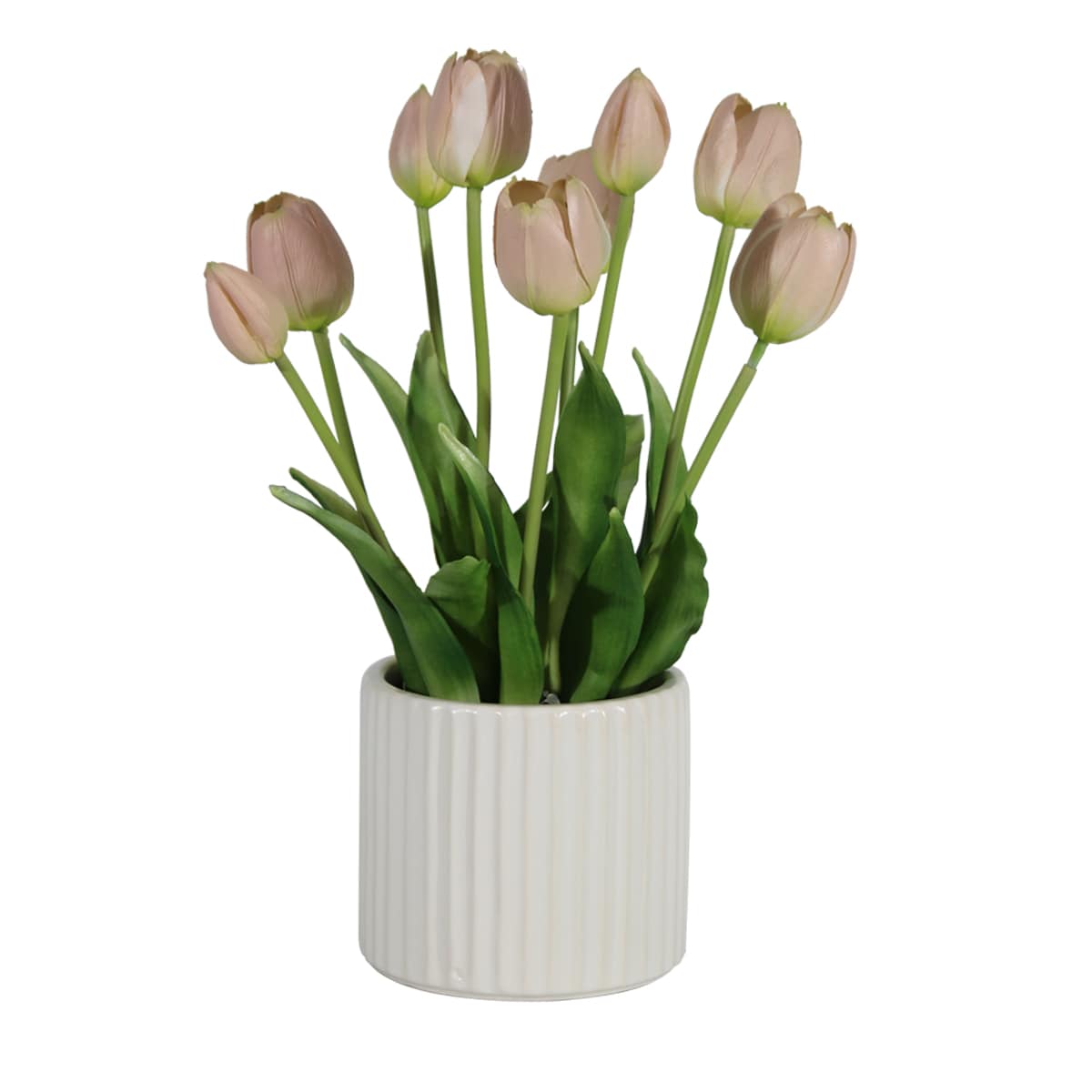 Tulip Products Available Now - Lowe's