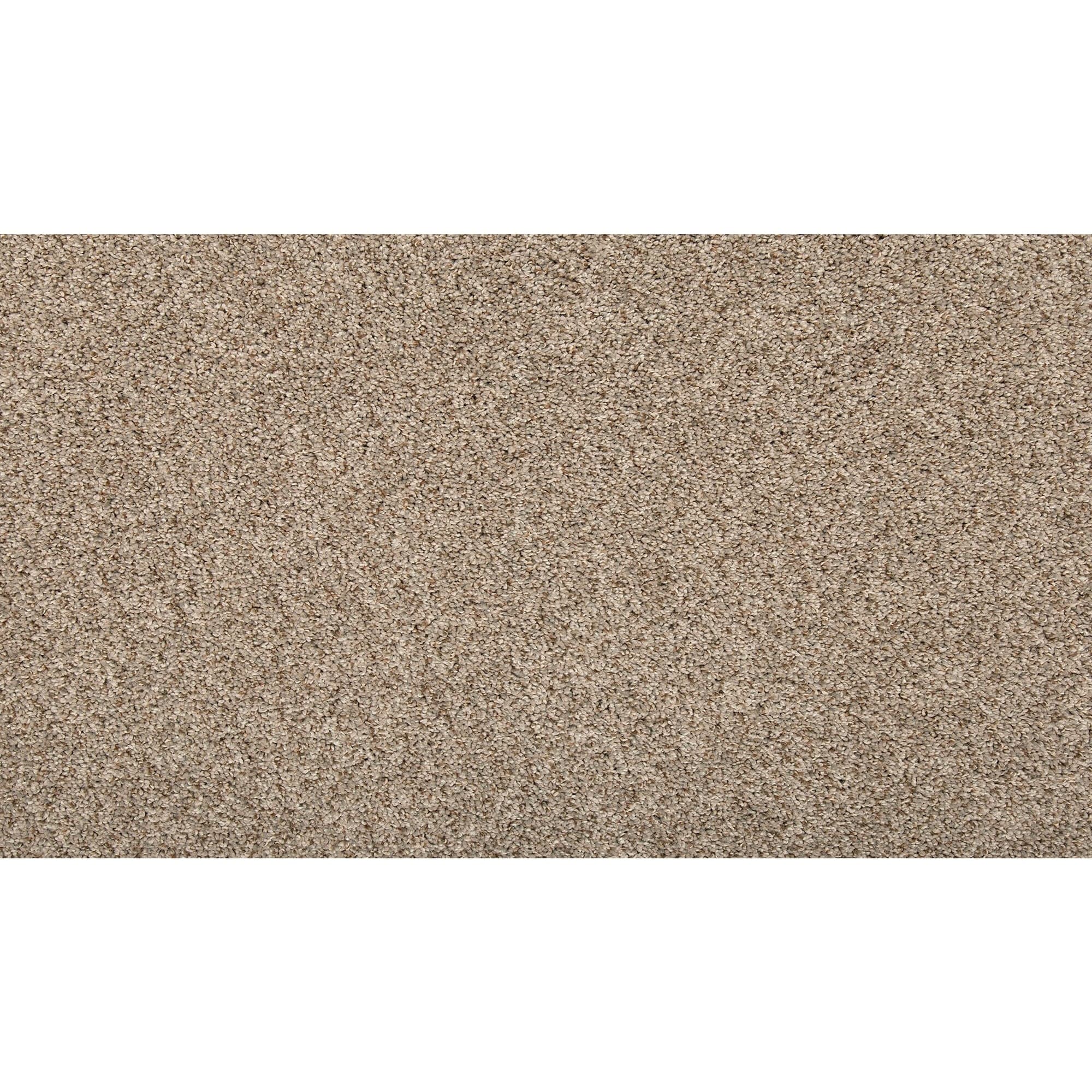 Style Selections SS016-L008-0808 (Sample) Carolina Coast II Soft Lullaby Brown 35-oz sq yard Solution-dyed polyester Textured Indoor Carpet