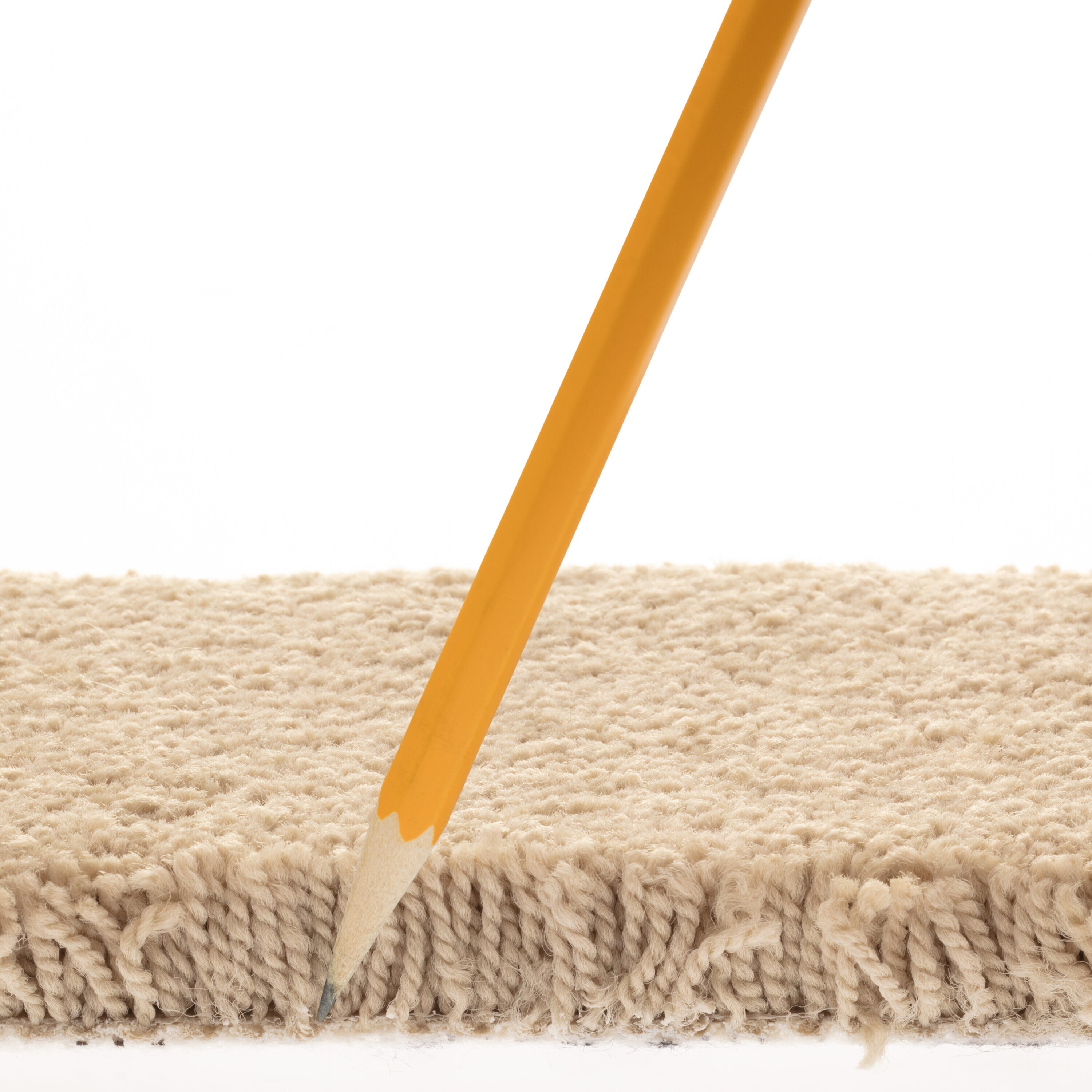 STAINMASTER PetProtect 7L883 - 105 - SAMP Carpet-Samples - View #8