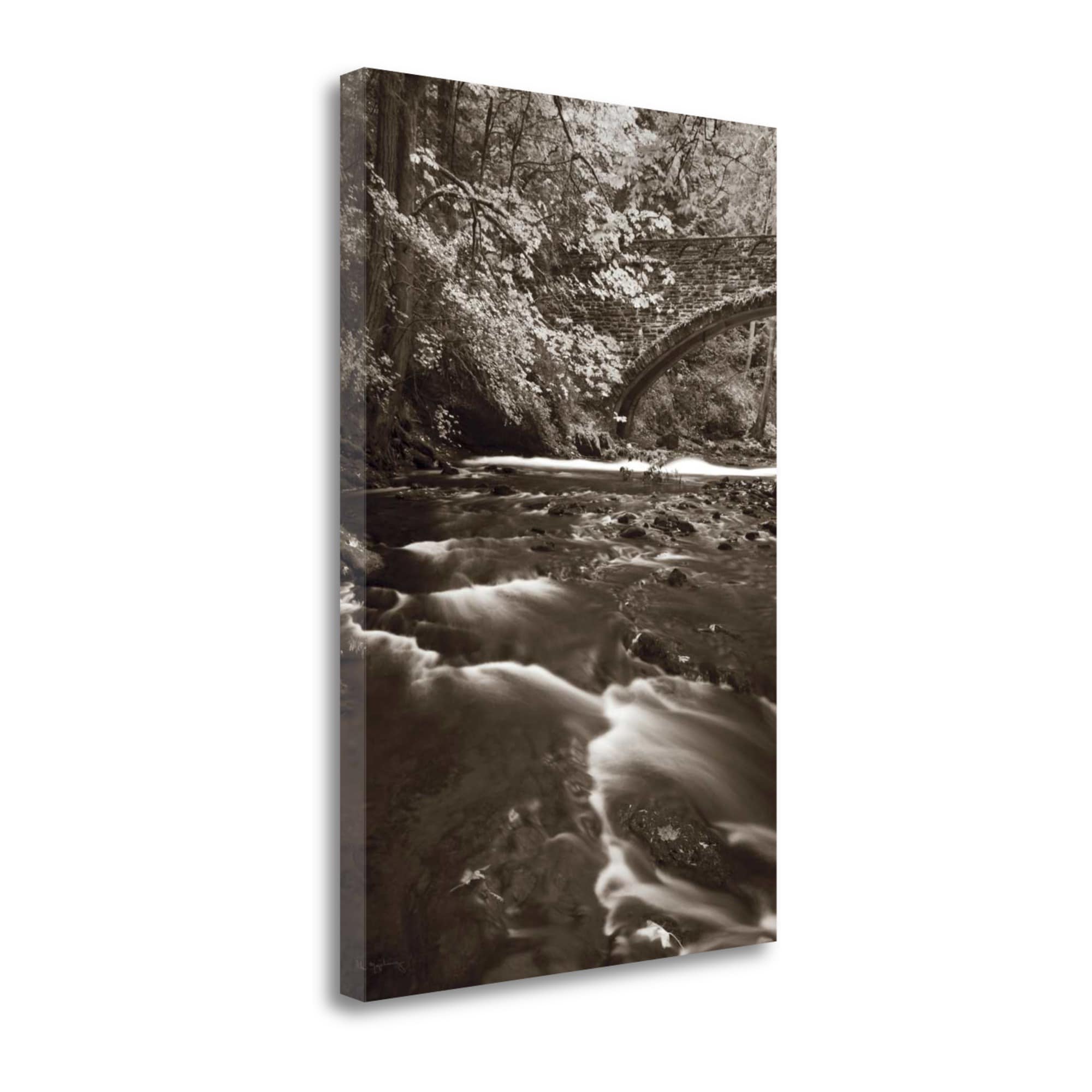 Tangletown Fine Art WA610150-2029C Whatcom Creek Alan Majchrowicz 29-in H x 20-in W Photography Print on Canvas