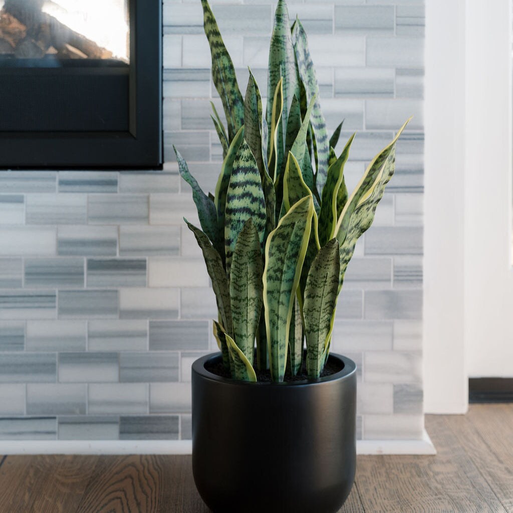 CG Hunter SNK-23002 Artificial-Plants-Trees - View #2