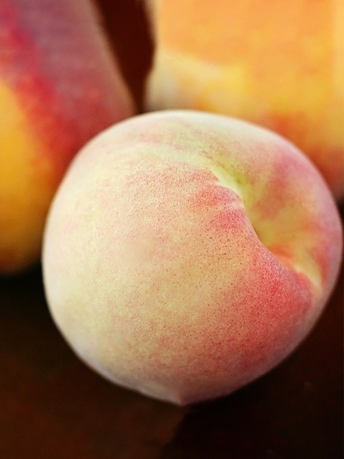 Peach Trees - China Pearl