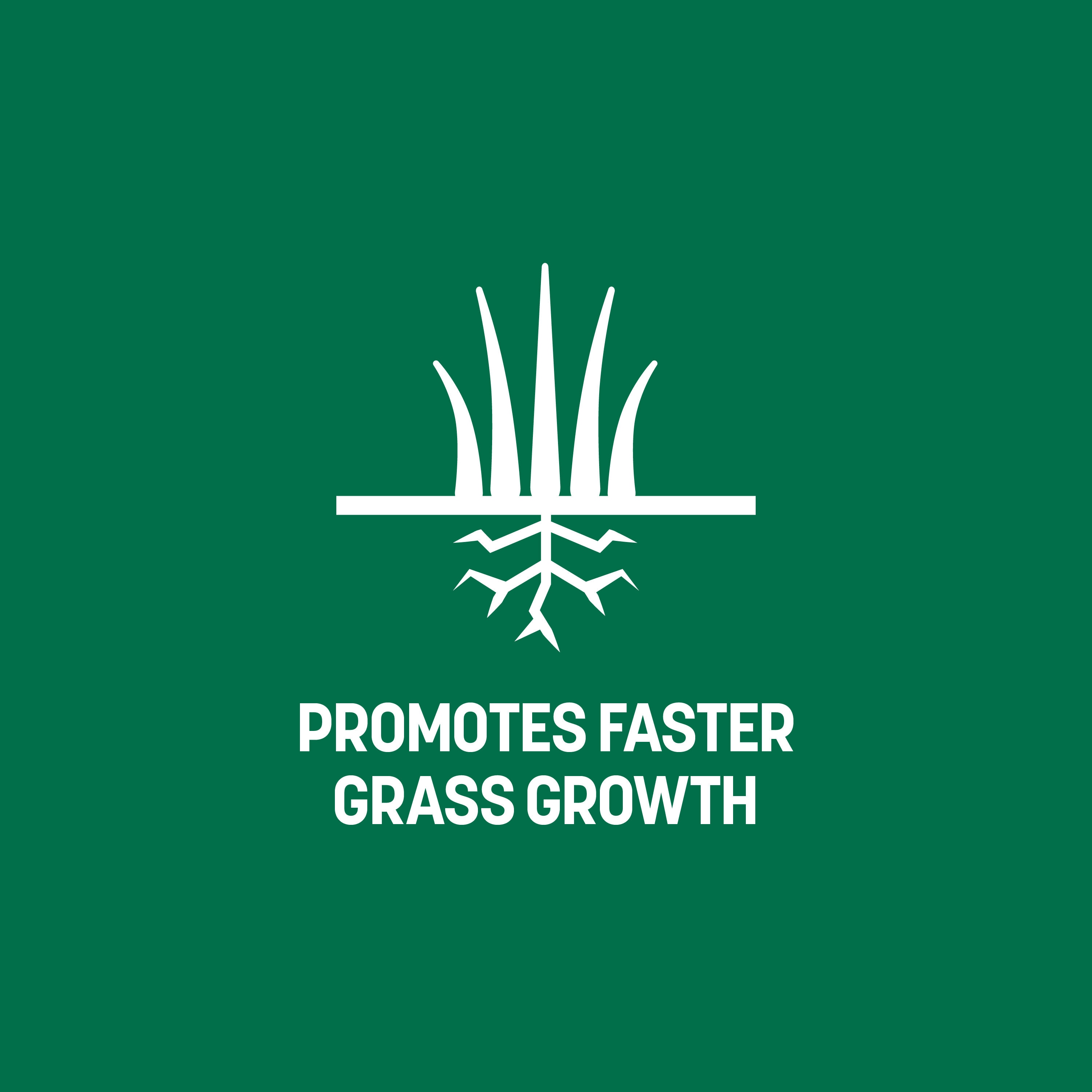 Sta Green Fertilizer Plus Soil Conditioner 43 2 lb 12000 sq Ft 18 24 8 sta-green-fertilizer-plus-soil-conditioner-43-2-lb-12000-sq-ft-18-24-8