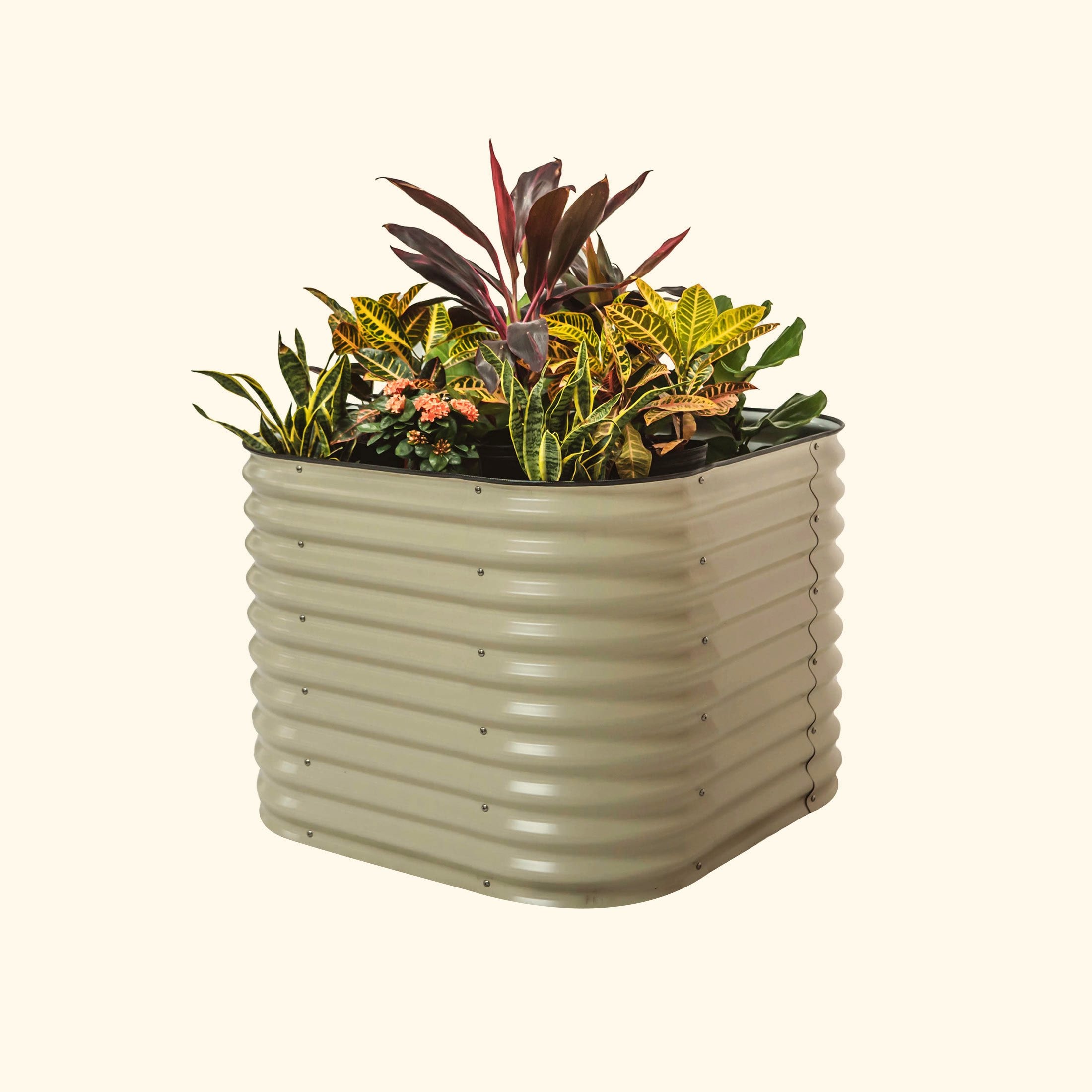 Vego Garden VB4N132W 33-cu ft 42-in W x 42-in L x 32-in H Pearl White Galvanized Metal Raised Garden Bed