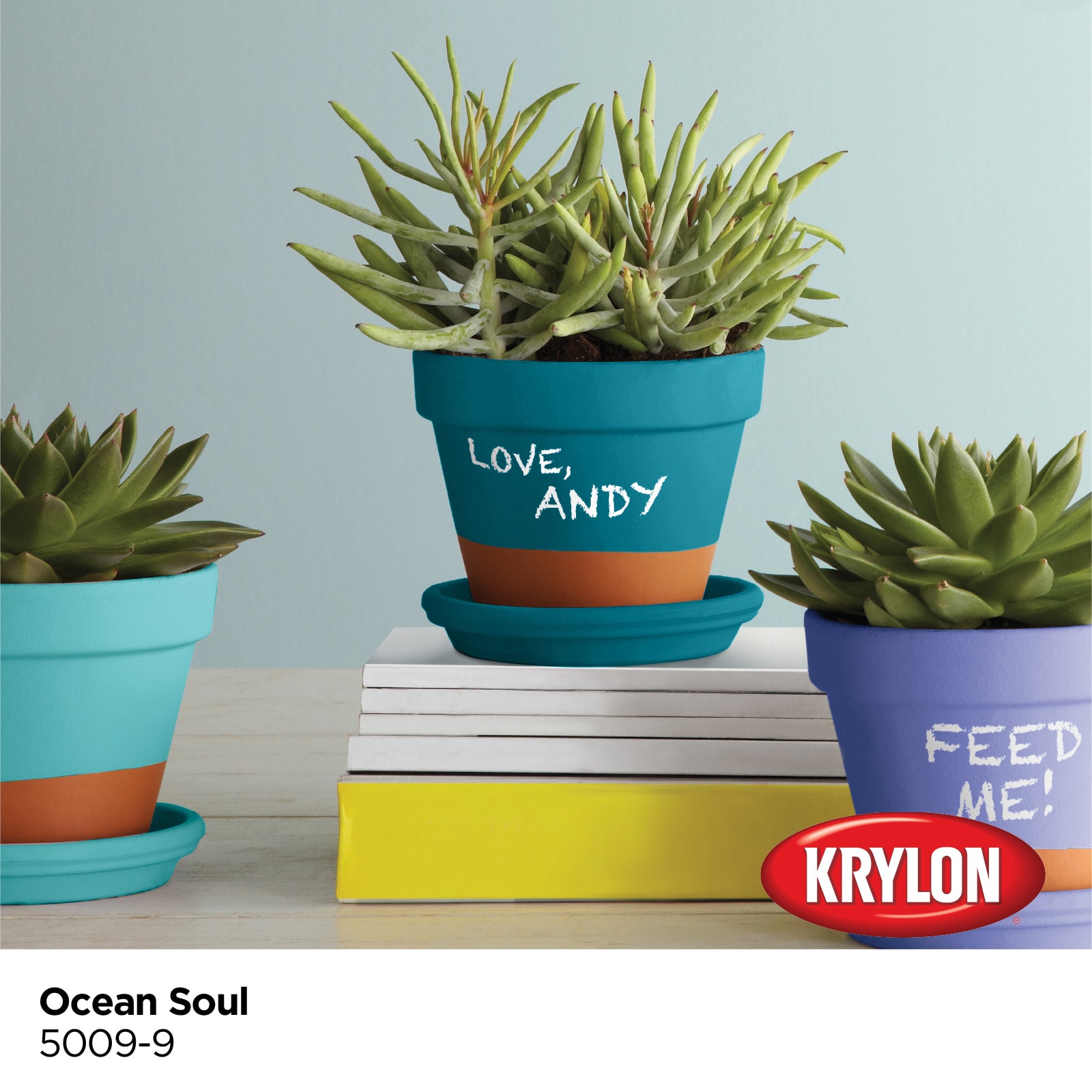 Krylon 5009-9-1693215 Chalky-Paint - View #2