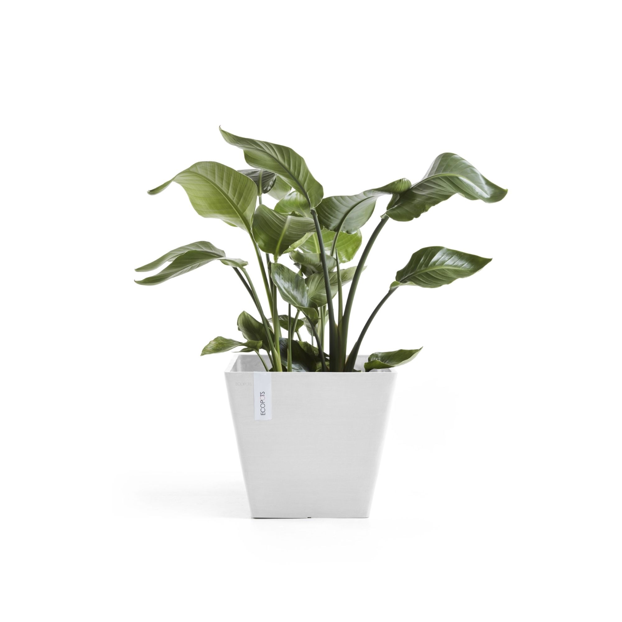 ECOPOTS 5413724332459 Planter-Window-Box - View #4