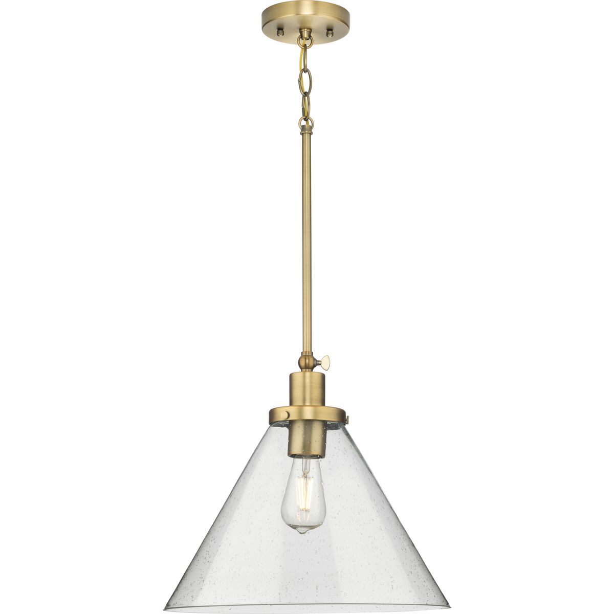 Progress Lighting P500384-163 Pendant-Lights - View #3