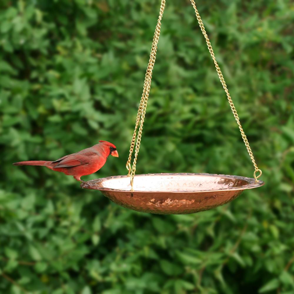 Good Directions BBH birdbaths - View #5