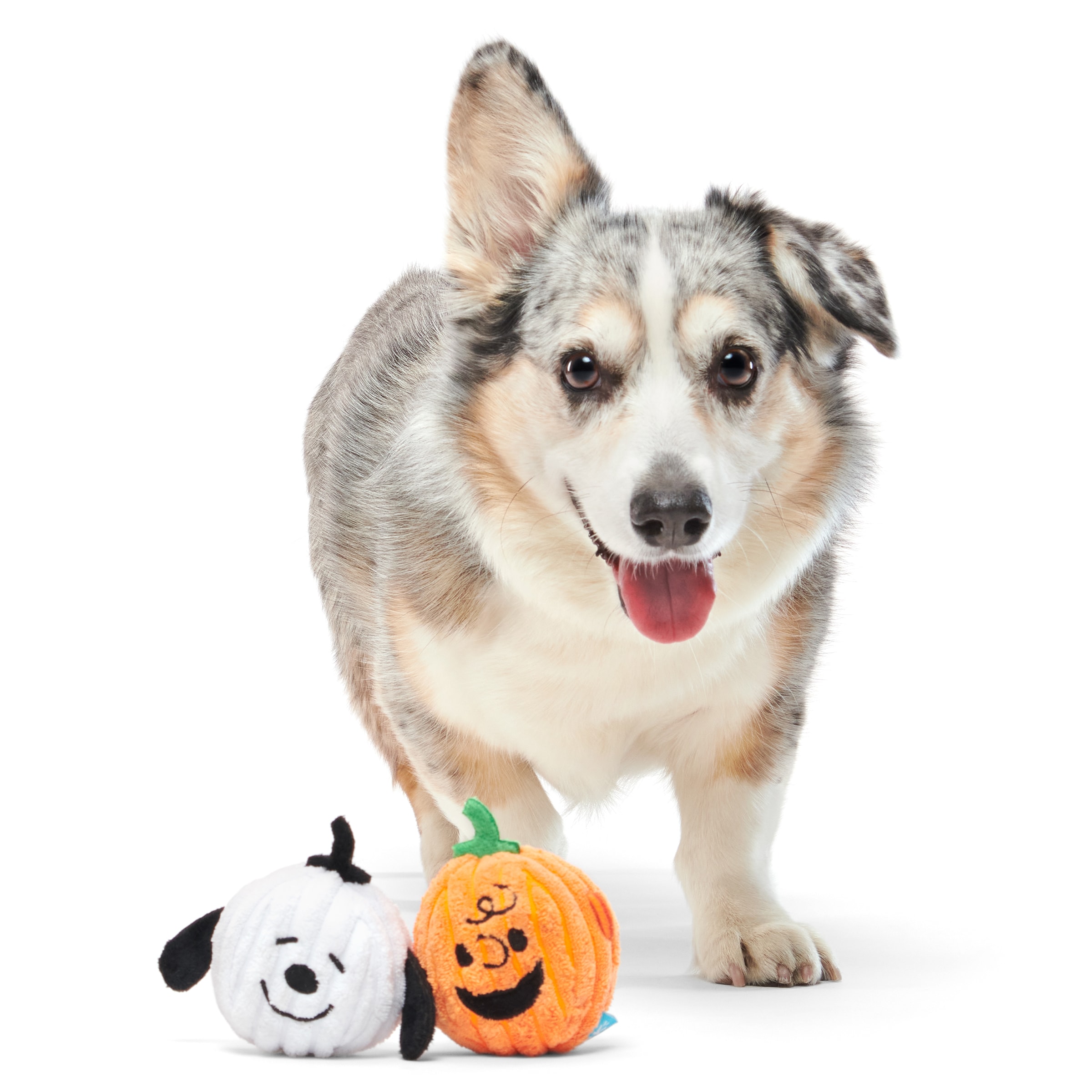 BARK 214623 Dog-Toys - View #3