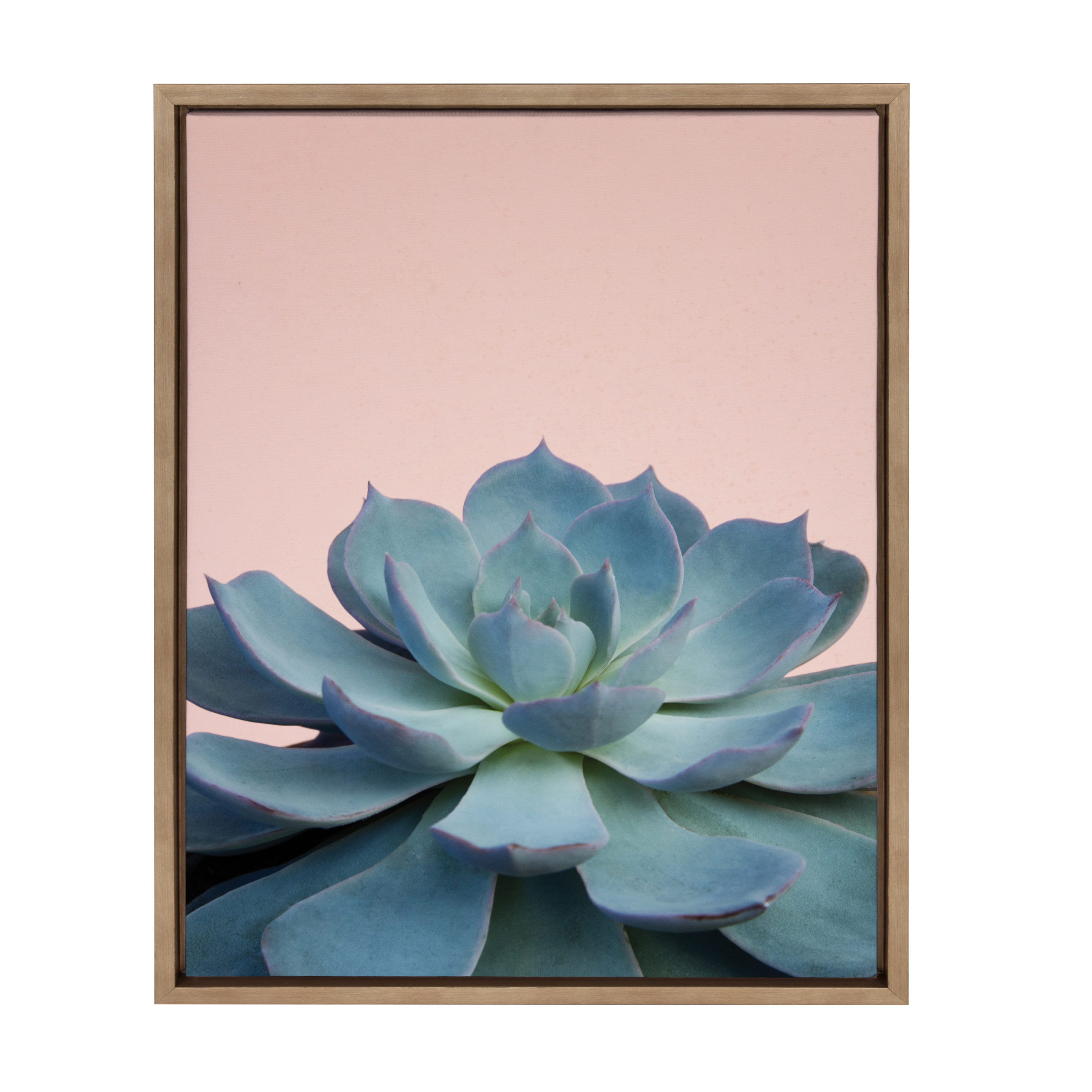 Kate and Laurel 213701 Succulent 10 F21Images Gold Framed 24-in H x 18-in W Botanical Print on Canvas