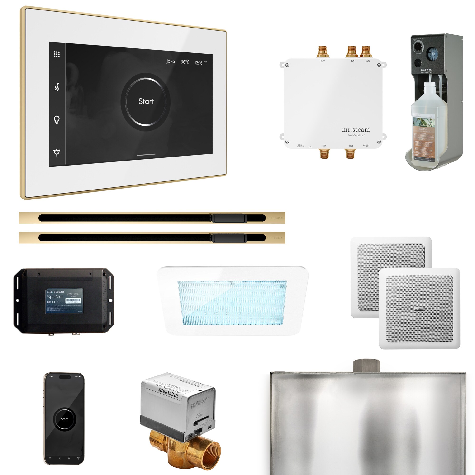 Mr. Steam BLS1-WHXLPB Bliss White - Polished Brass Steam Generator Control Kit