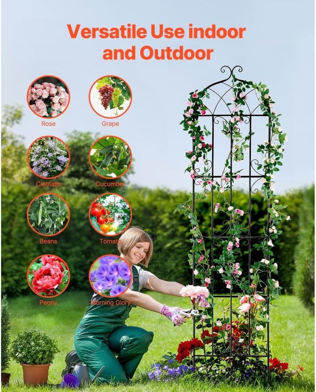 IdealHouse ABD-CRB0KR6J0AAK Garden-Trellis - View #4