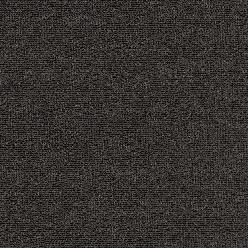 Home and Office Industrial Loop 20 Jetty Black 20-oz sq yard Solution-dyed polyester Berber/Loop Indoor Carpet