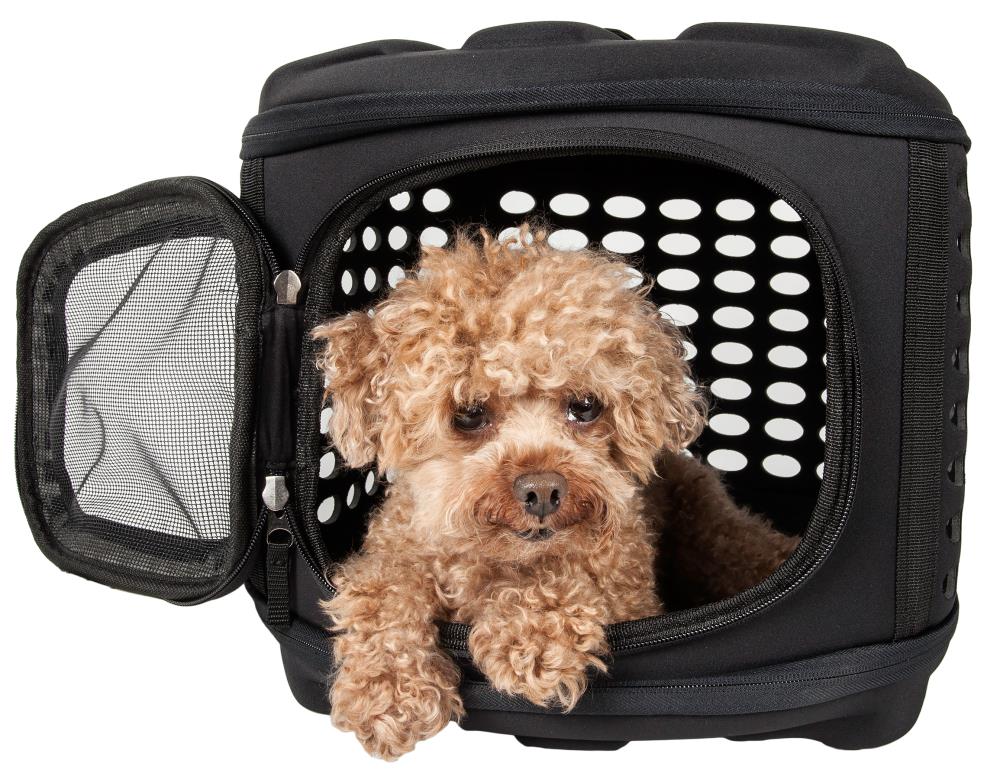 Pet Life 14.6-in x 6.7-in x 10.6-in Black Collapsible Nylon Small Dog/Cat  Purse in the Pet Carriers department at Lowes.com