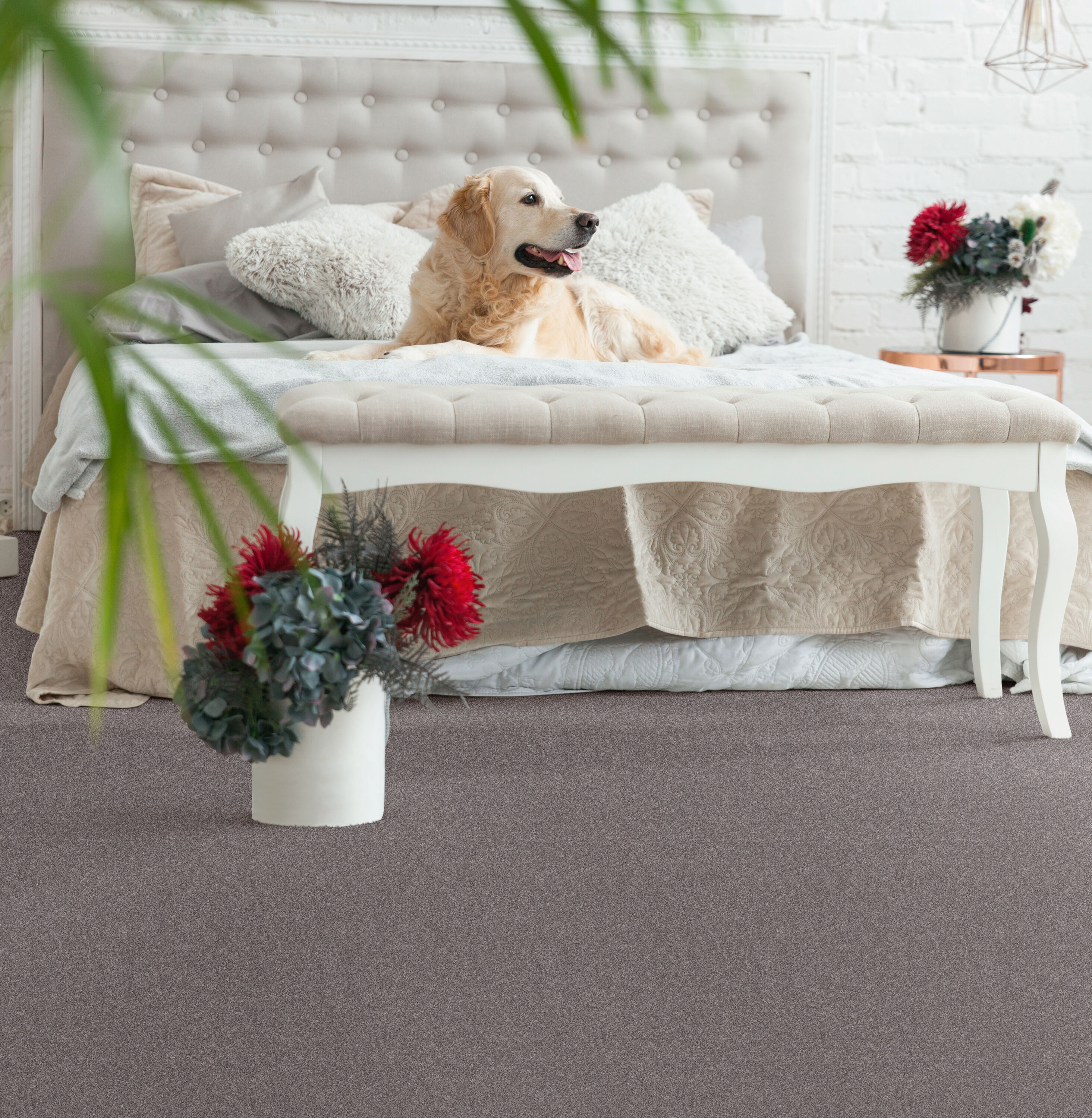 STAINMASTER PetProtect 7L907 - 902 - SAMP Carpet-Samples - View #4