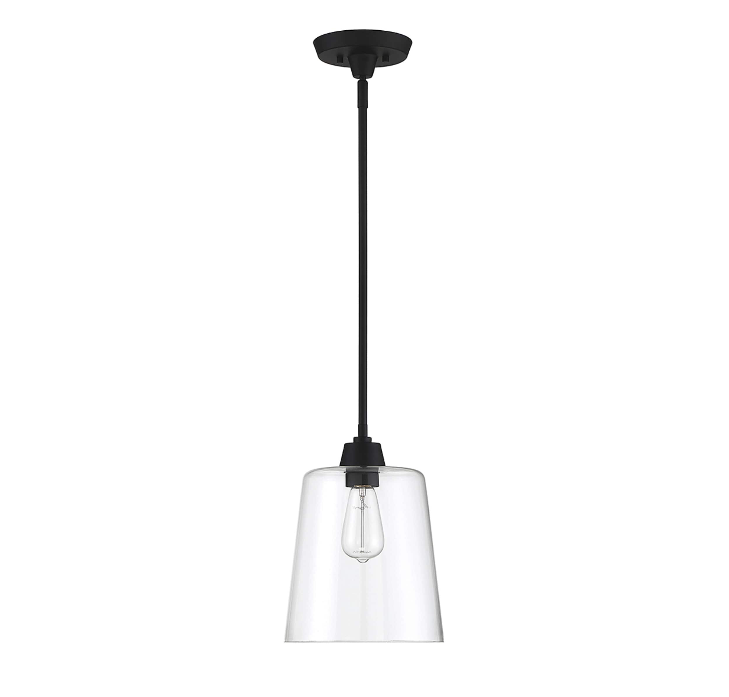Templeton Matte Black Pendant Light with Clear Glass Shade