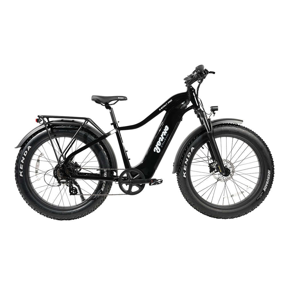 Young Electric 12803011BLK bikes - View #3