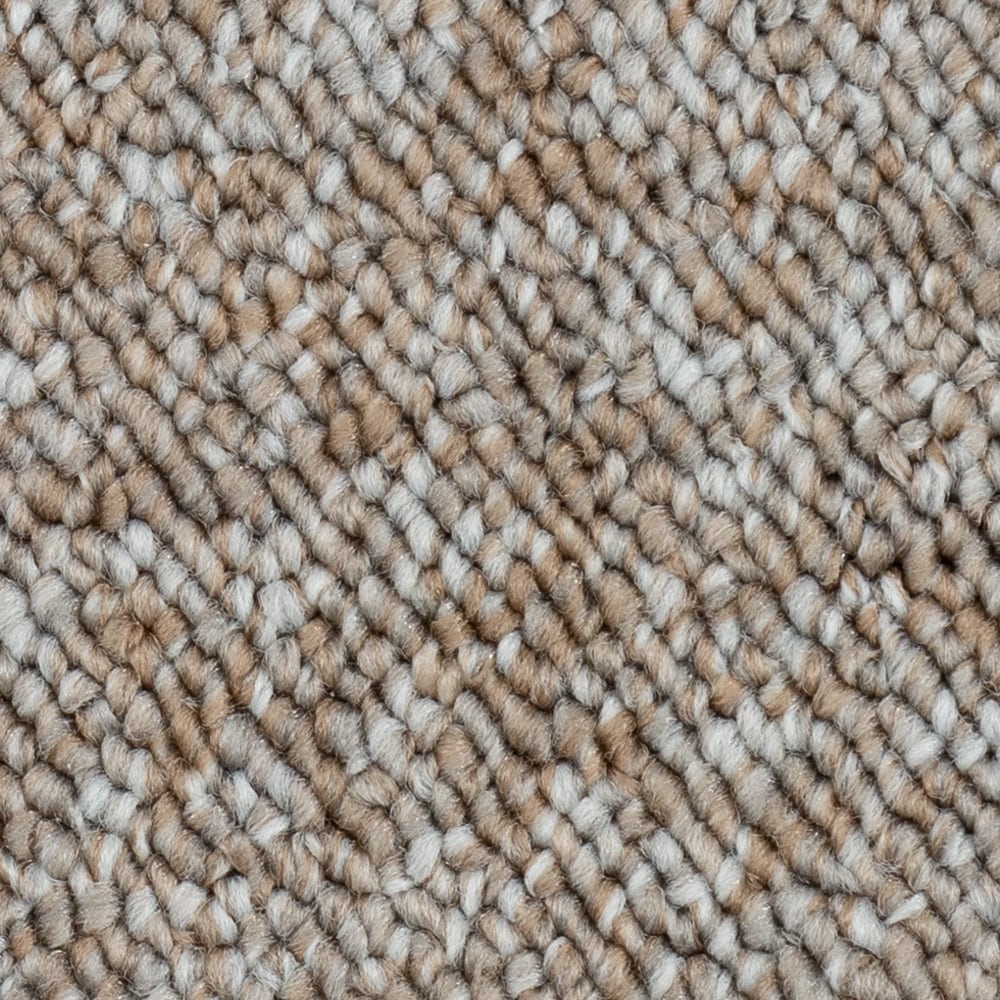  LU133-9513A (Sample) Home Office Great Basin Rustic View Brown 28-oz sq yard Olefin Berber/Loop Indoor Carpet
