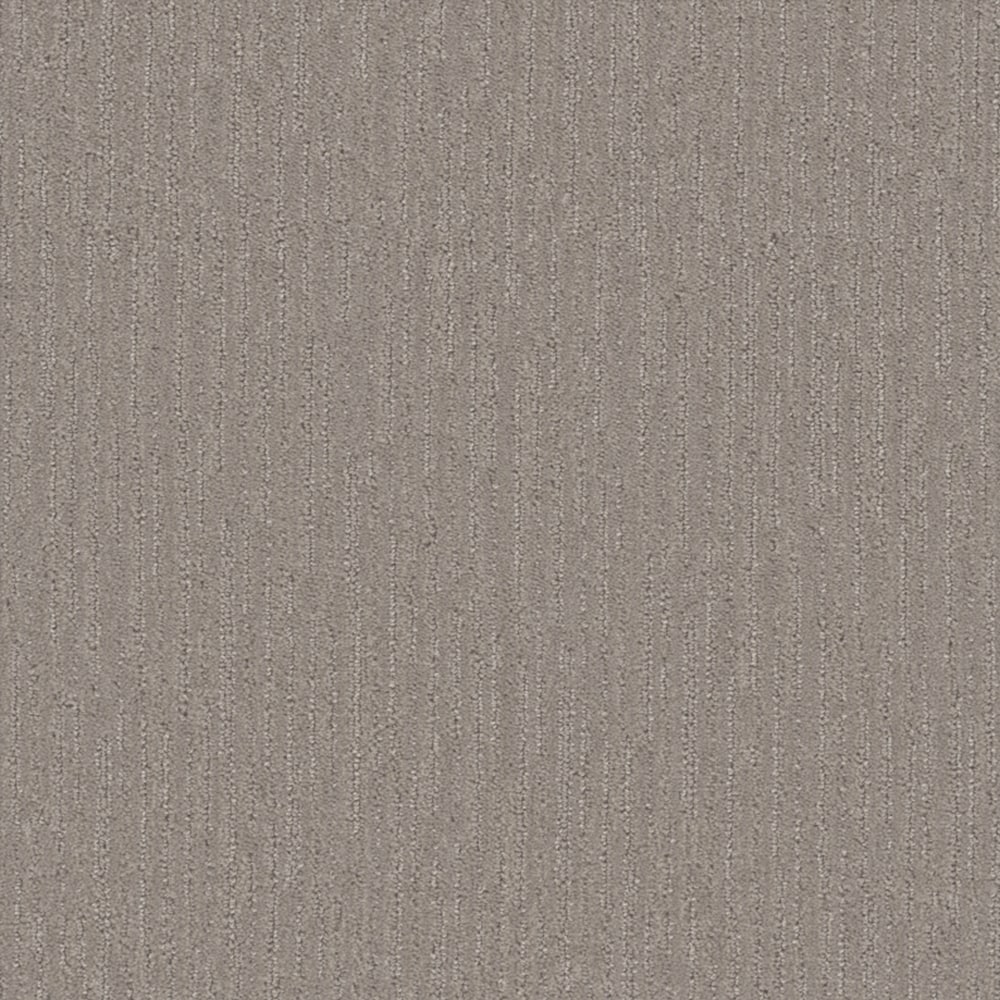 Style Selections S9125-948-S (Sample) Applique Technique Brown 25-oz sq yard Polyester Textured Indoor Carpet