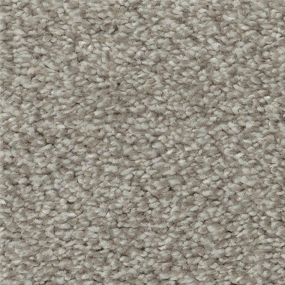 STAINMASTER PetProtect 7L92800535 with LeakDefense Splash Dance I Winter Wind Gray 58.5-oz sq yard Polyester Textured Indoor Carpet