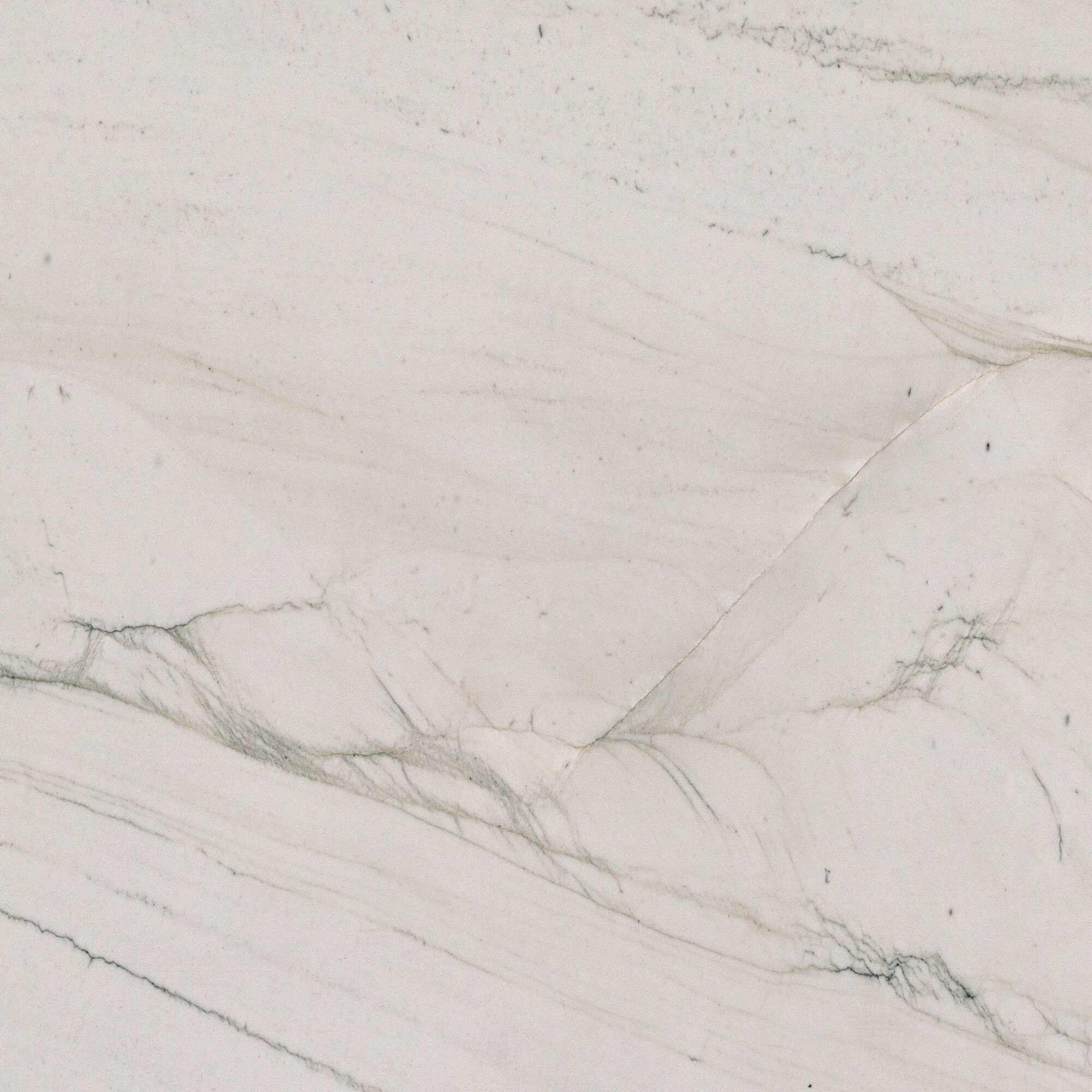 Daltile Mont Blanc Quartzite Gray Kitchen Countertop SAMPLE ( 4-in x 4-in )