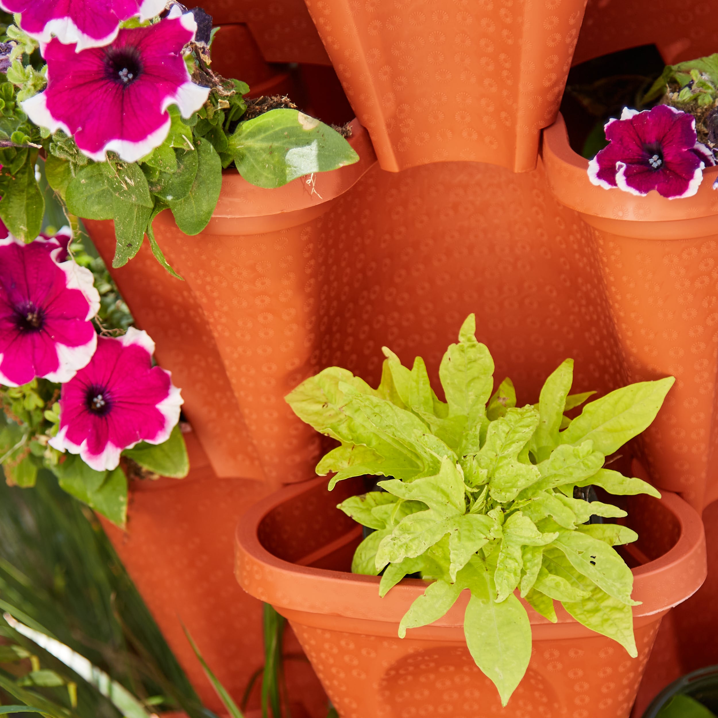 Mr. Stacky 1805 TC Planter-Window-Box - View #3